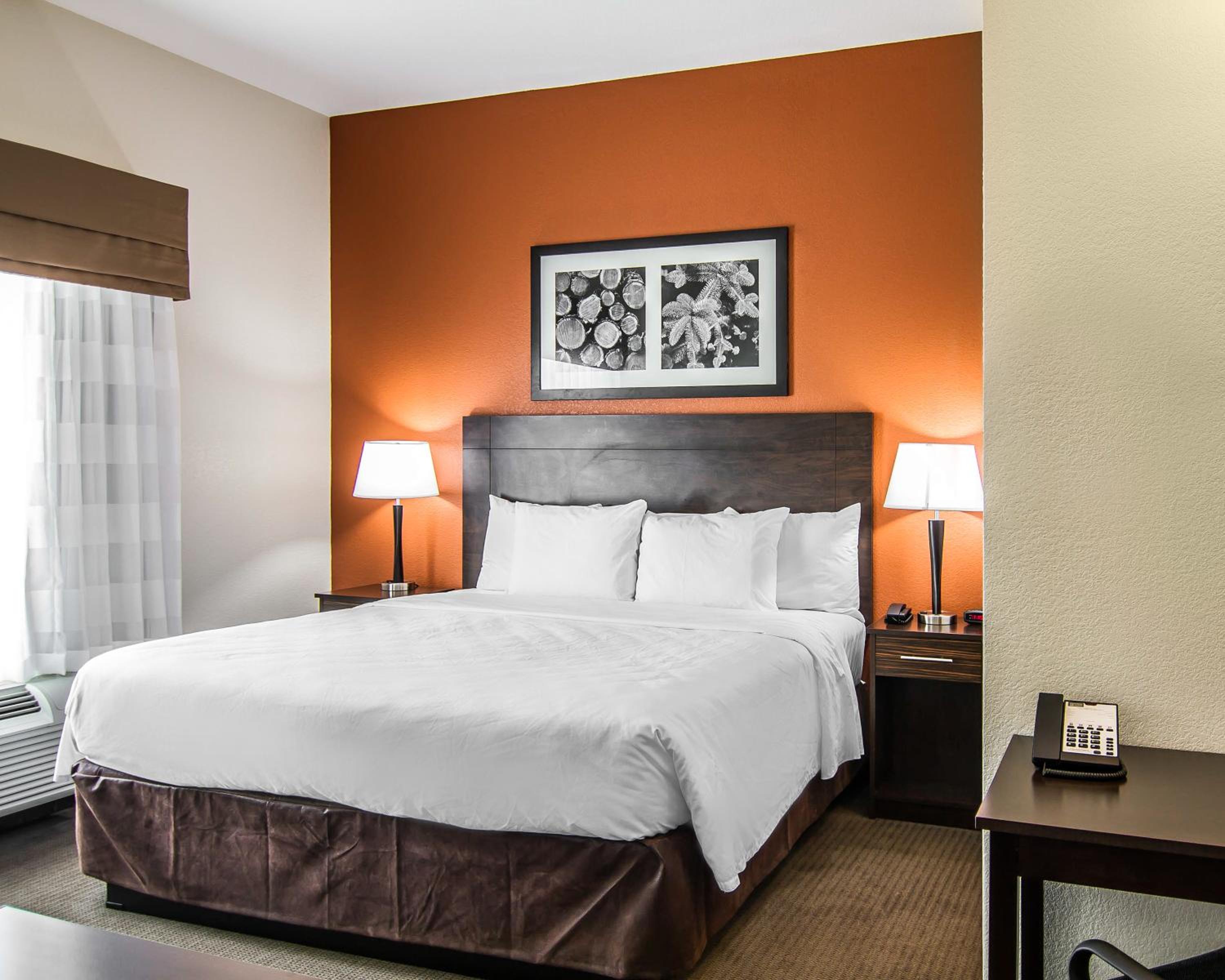 Efficiency King Suite - Accessible/Non-Smoking