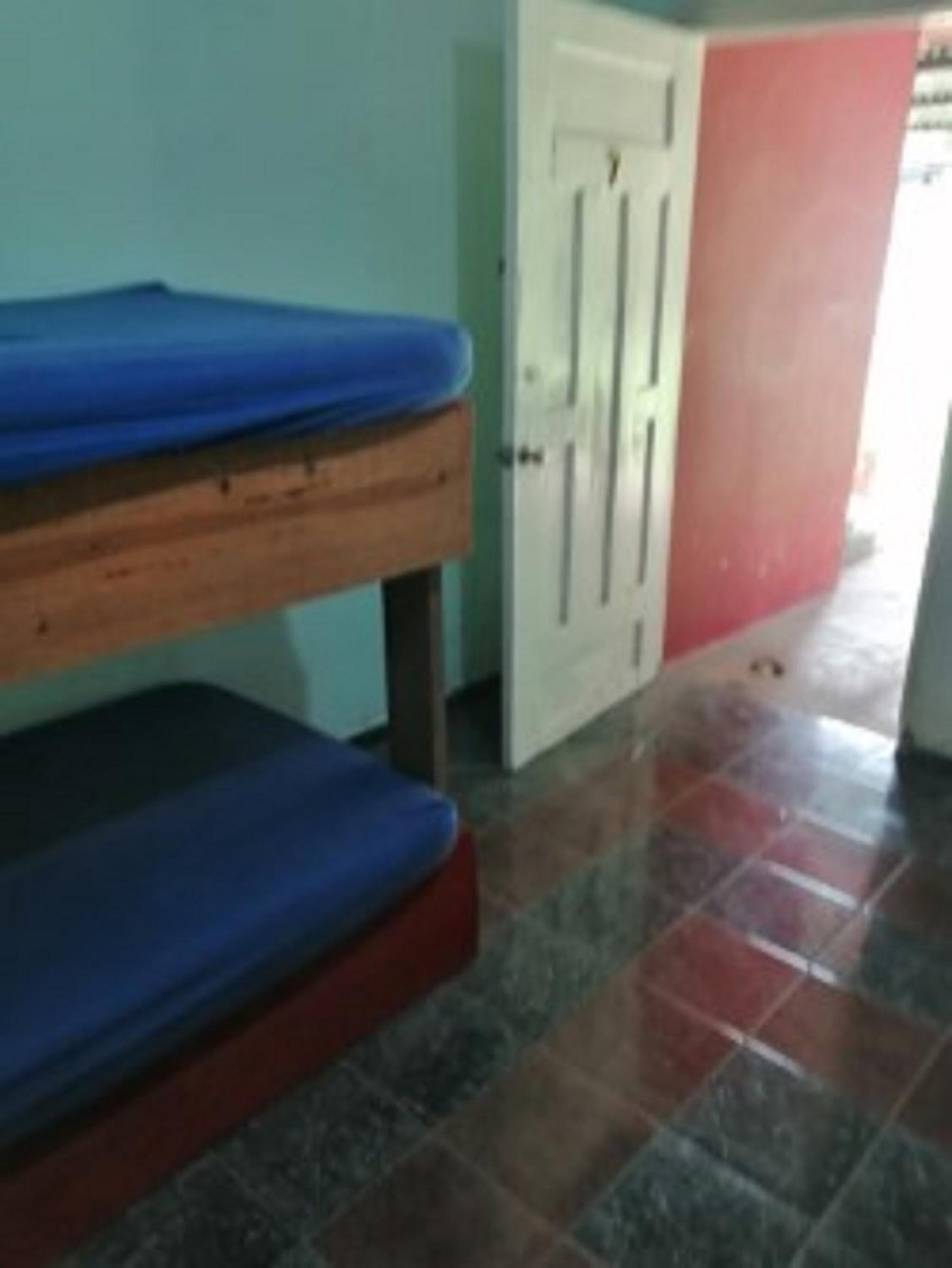 4-Bed Female Dormitory Room photo 1