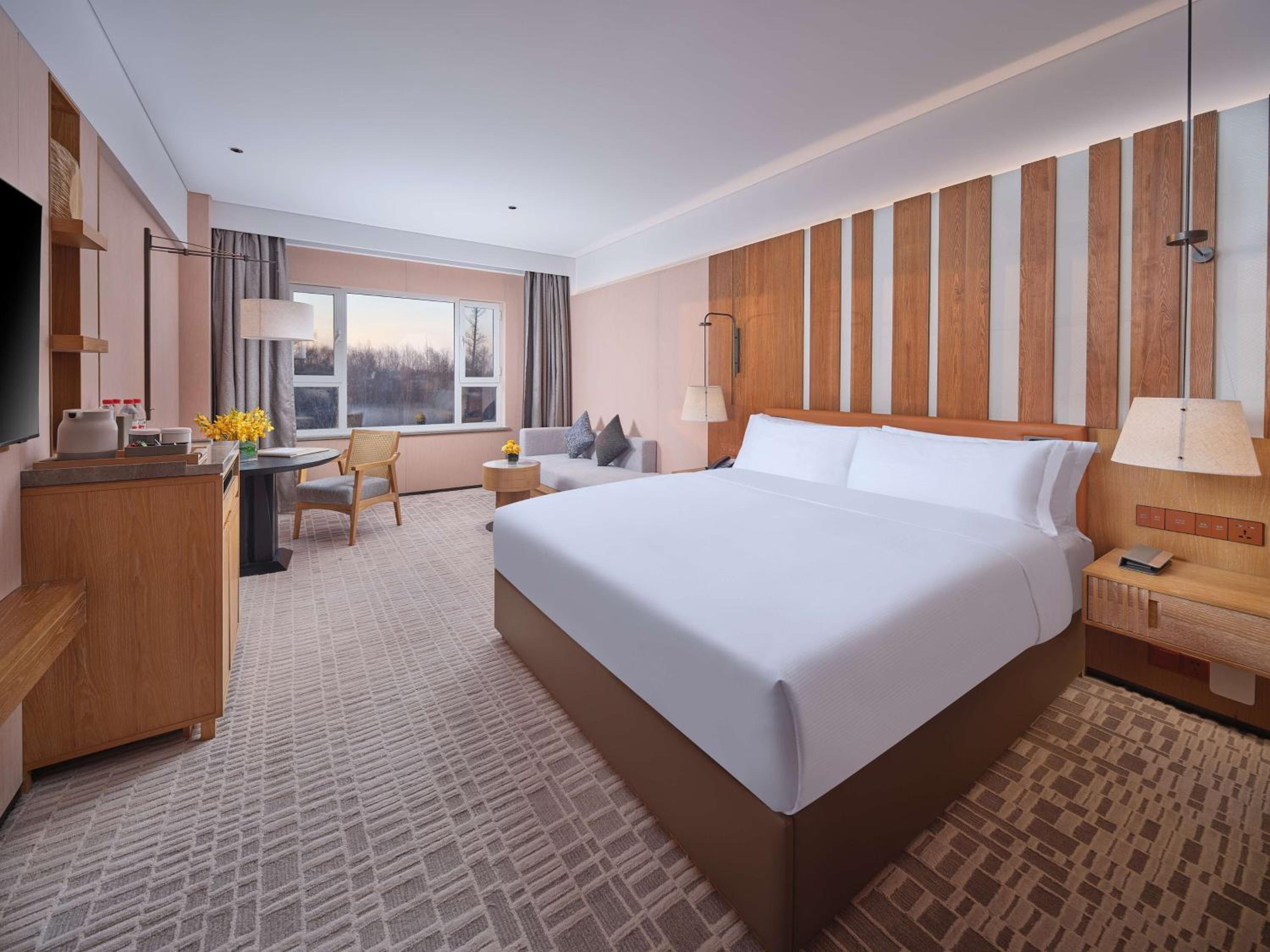 Premier King Room photo 3