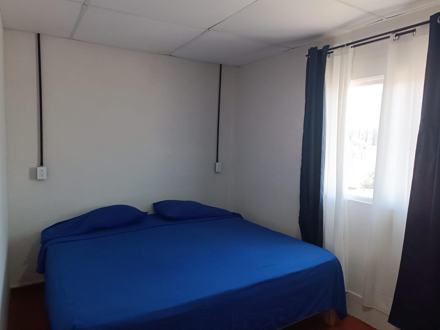 Standard King Room photo 3