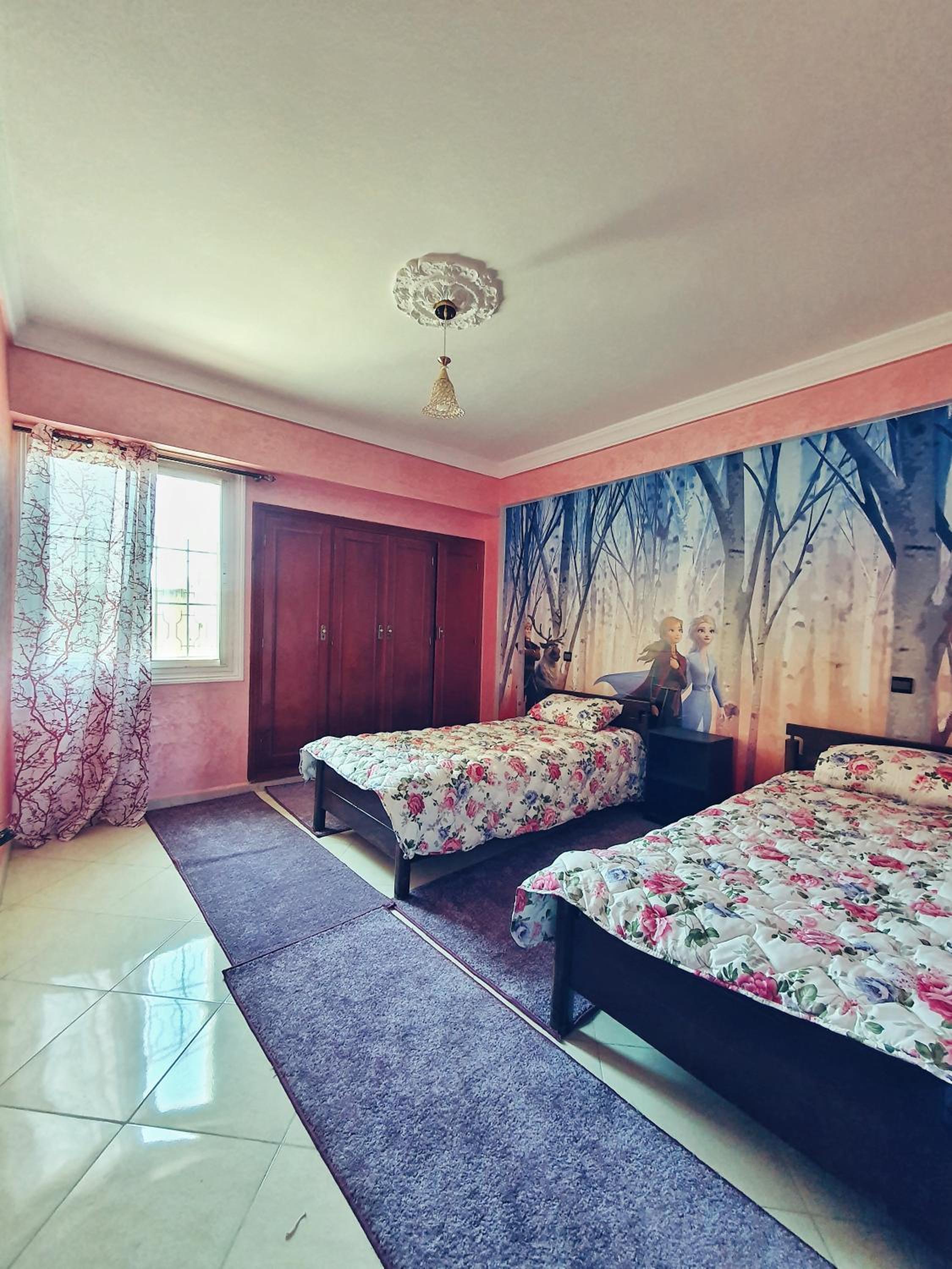 Apartment with Terrace photo 1