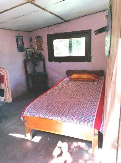 Single Room with Shared Bathroom photo 1