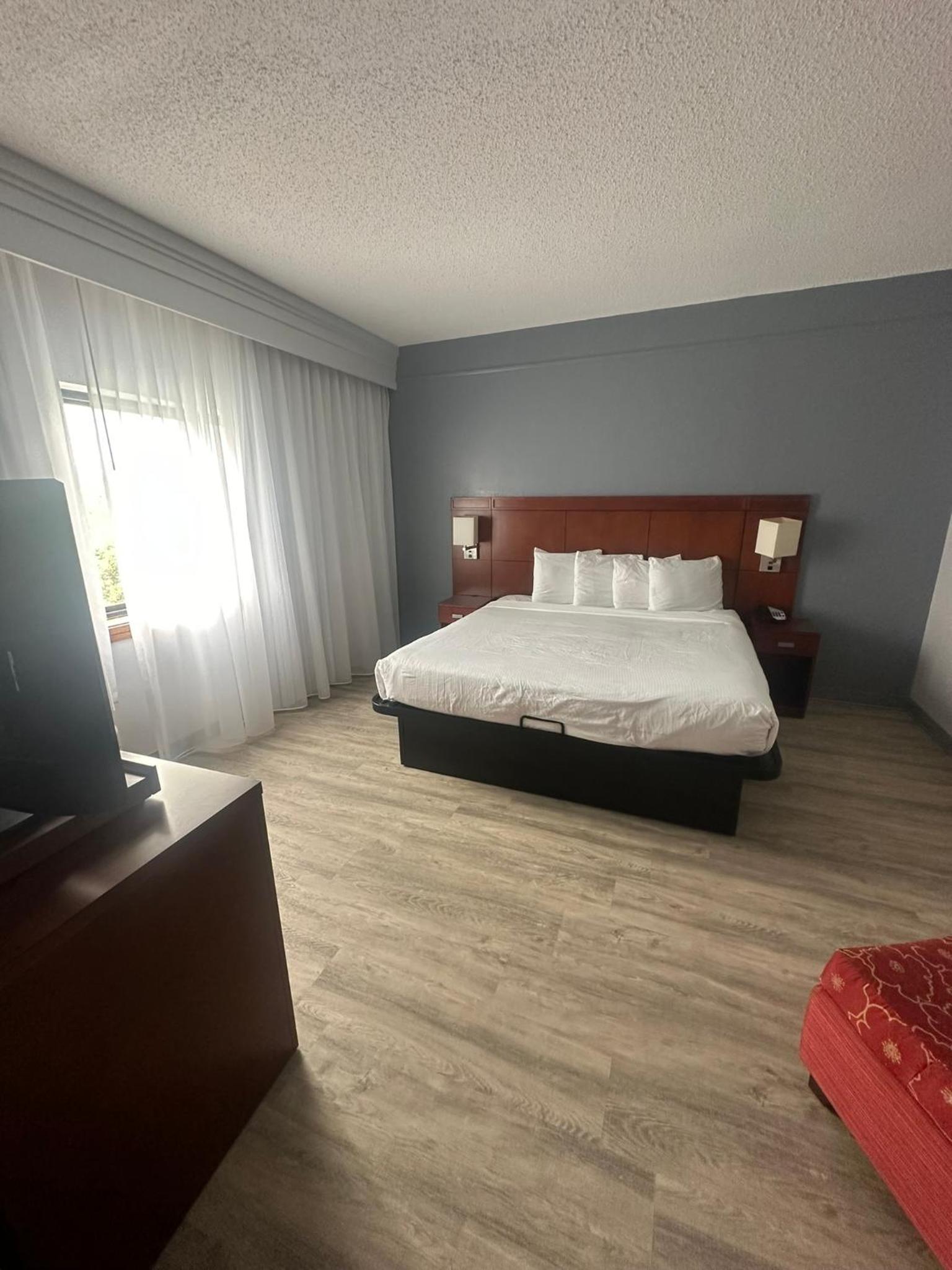 King Room with Mobility Access and Bathtub with Grab Bars, Non-Smoking - Photo 5