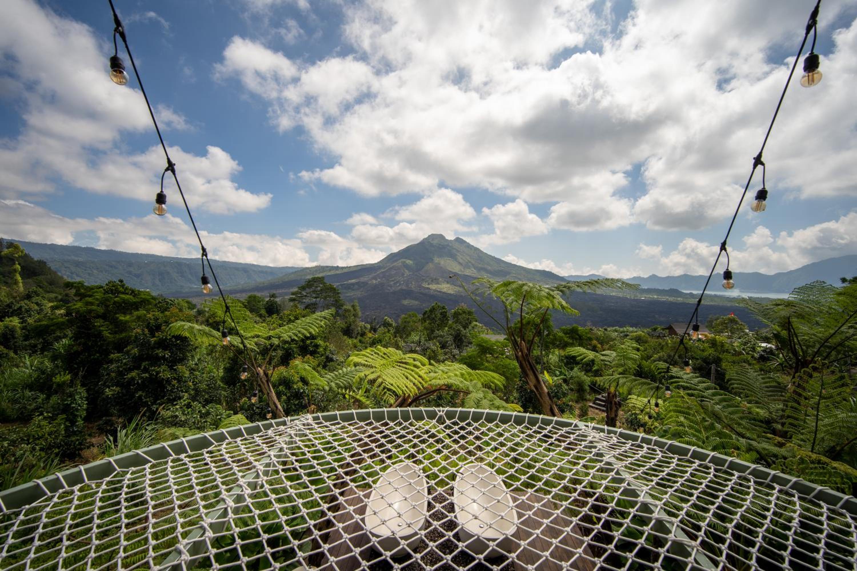 Suite with Mountain View photo 3