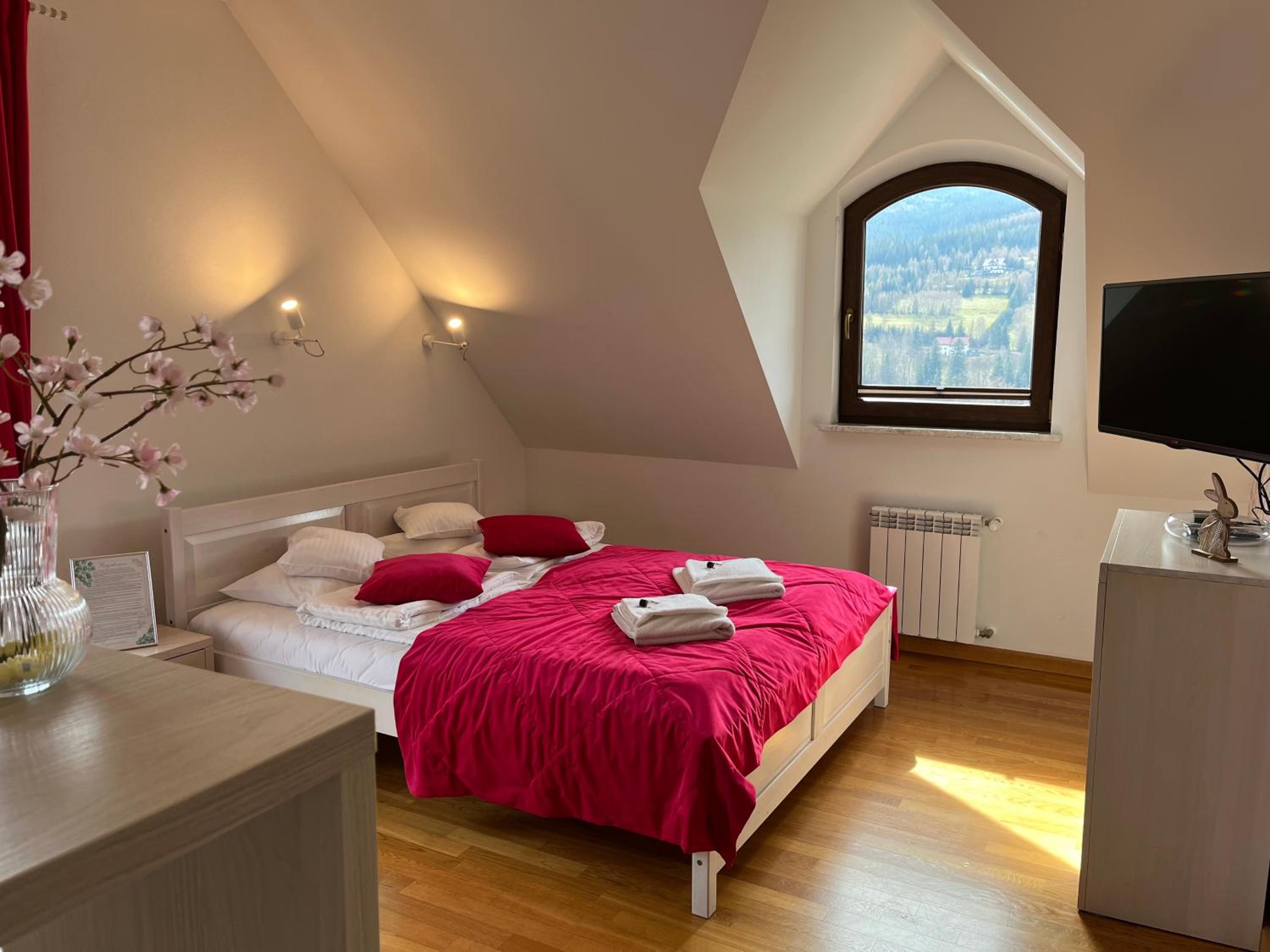 Double Room with Mountain View photo 1