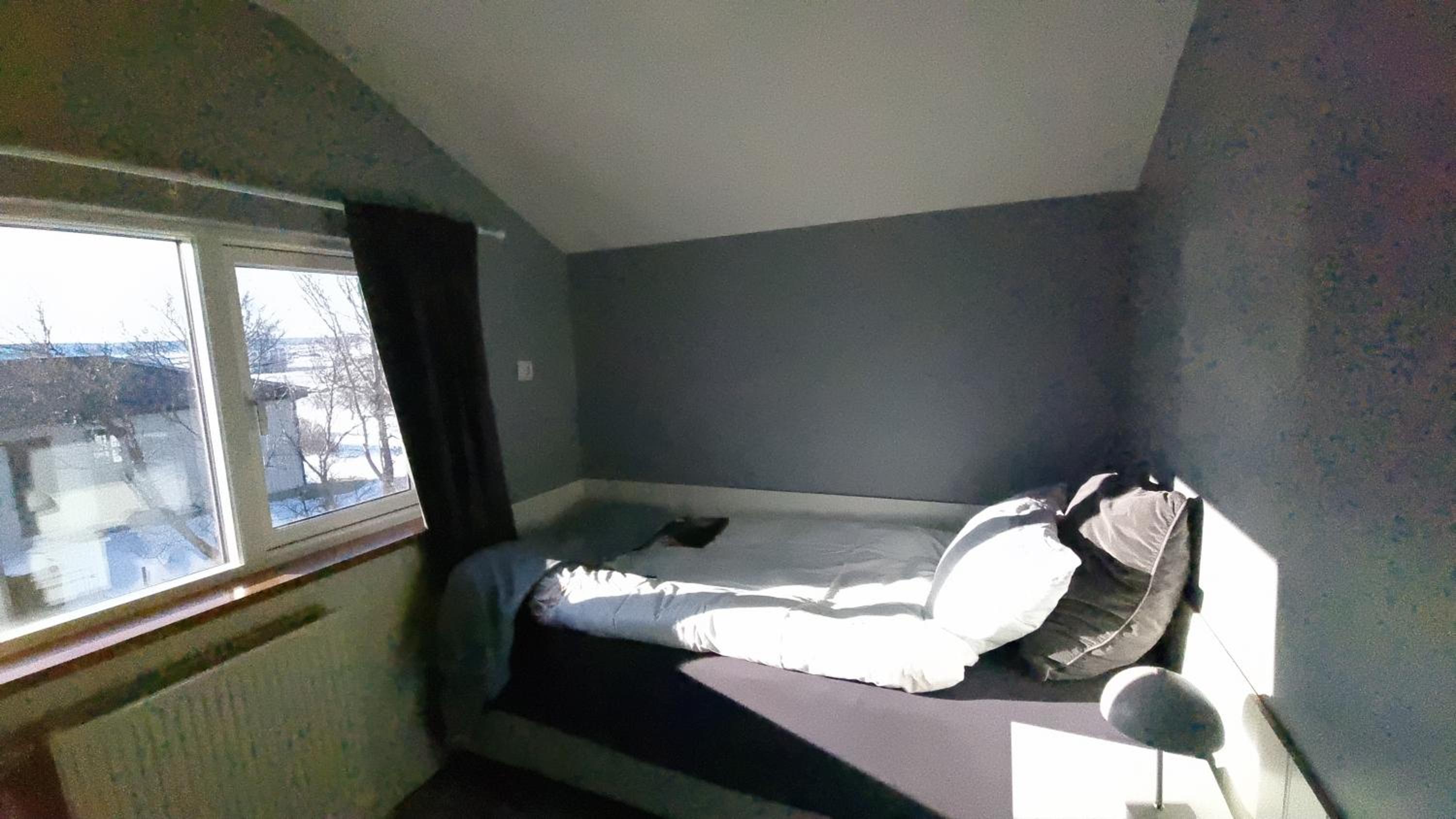 Single Room photo 1