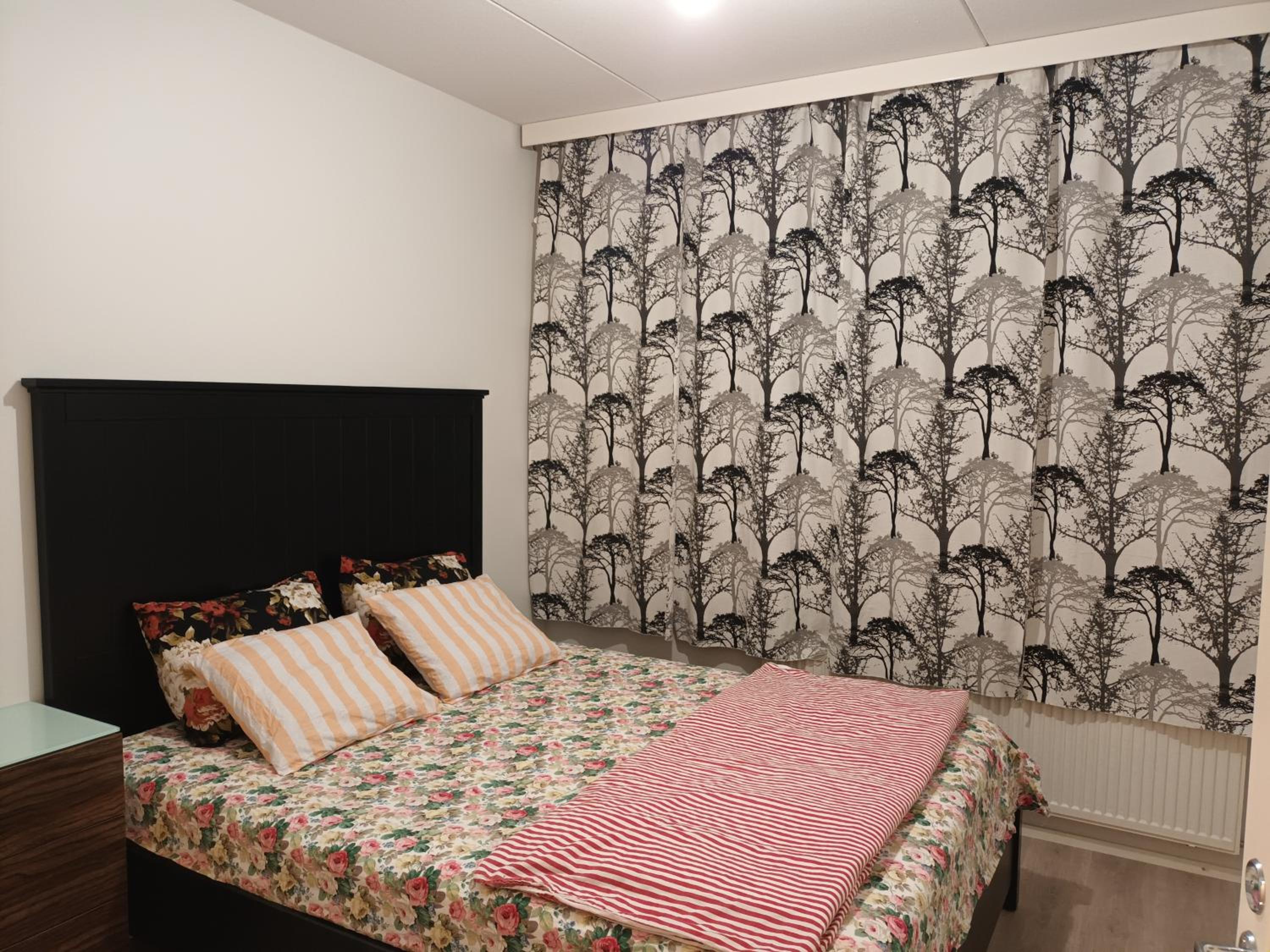 One-Bedroom Apartment photo 1