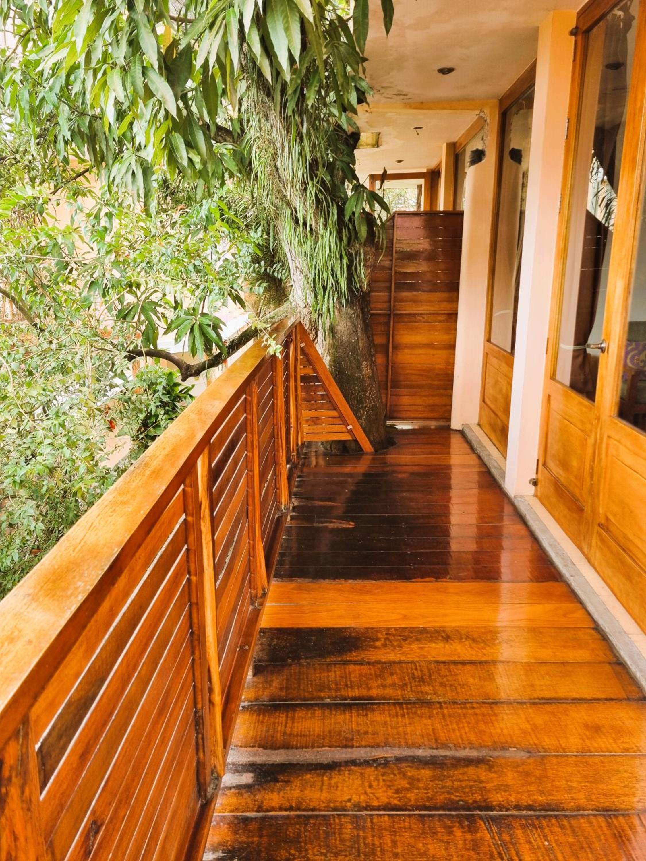 Apartment with Garden View photo 2