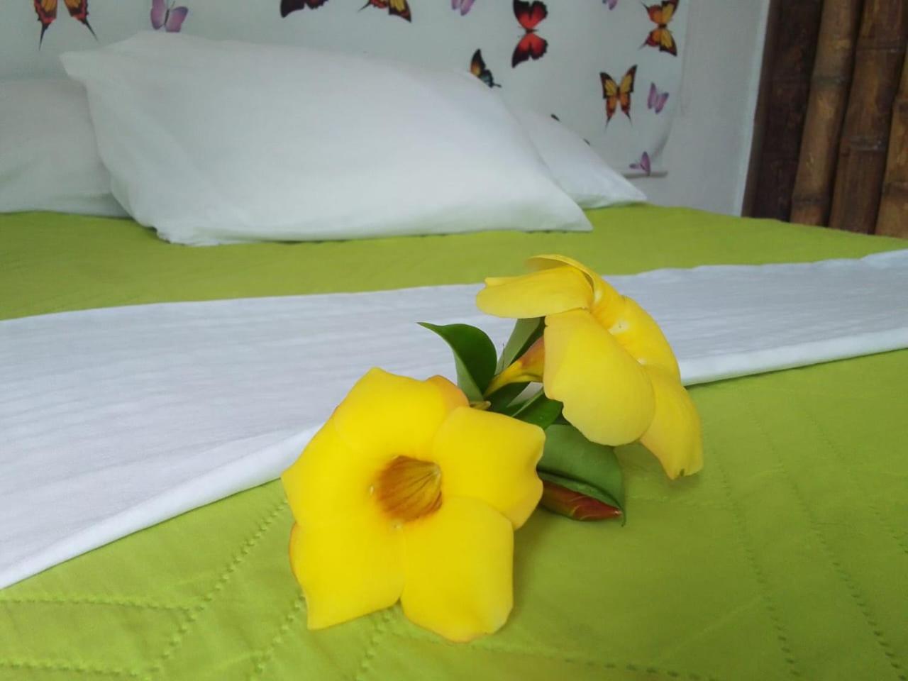 Double Or Twin Room With Private Bathroom photo 1