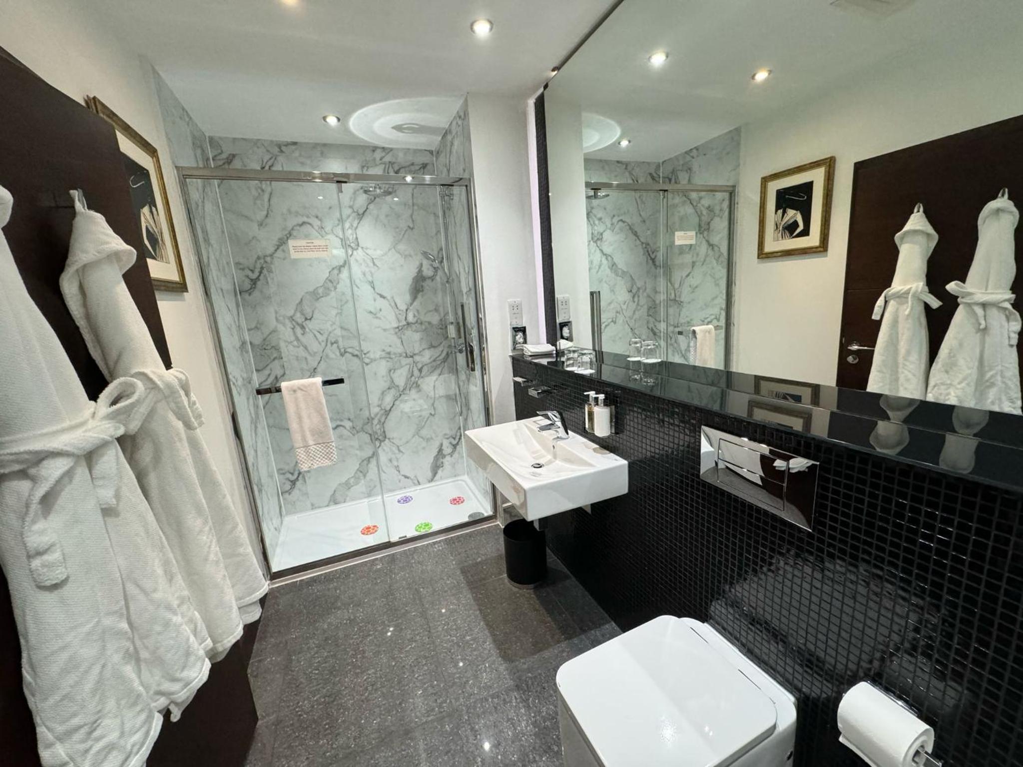 Deluxe Double Room photo 3