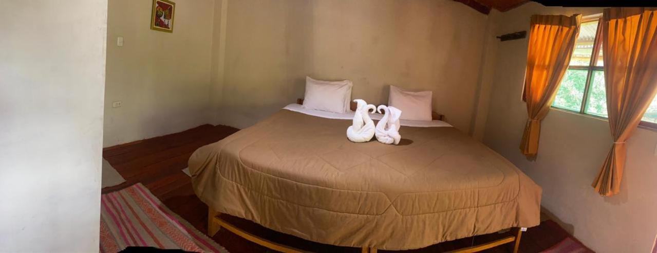 Double or Twin Room photo 1