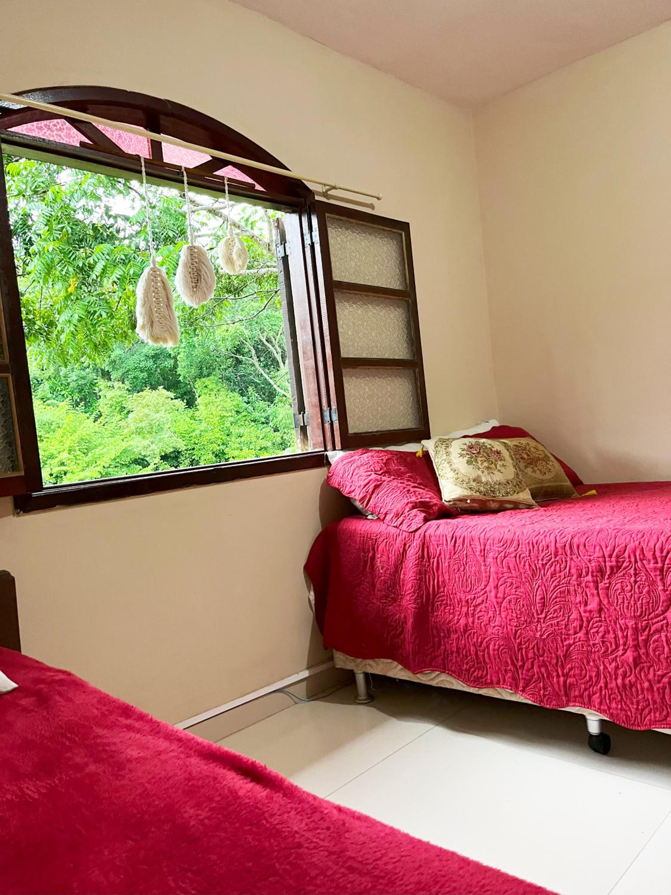 Single Bed in Female Dormitory Room photo 1