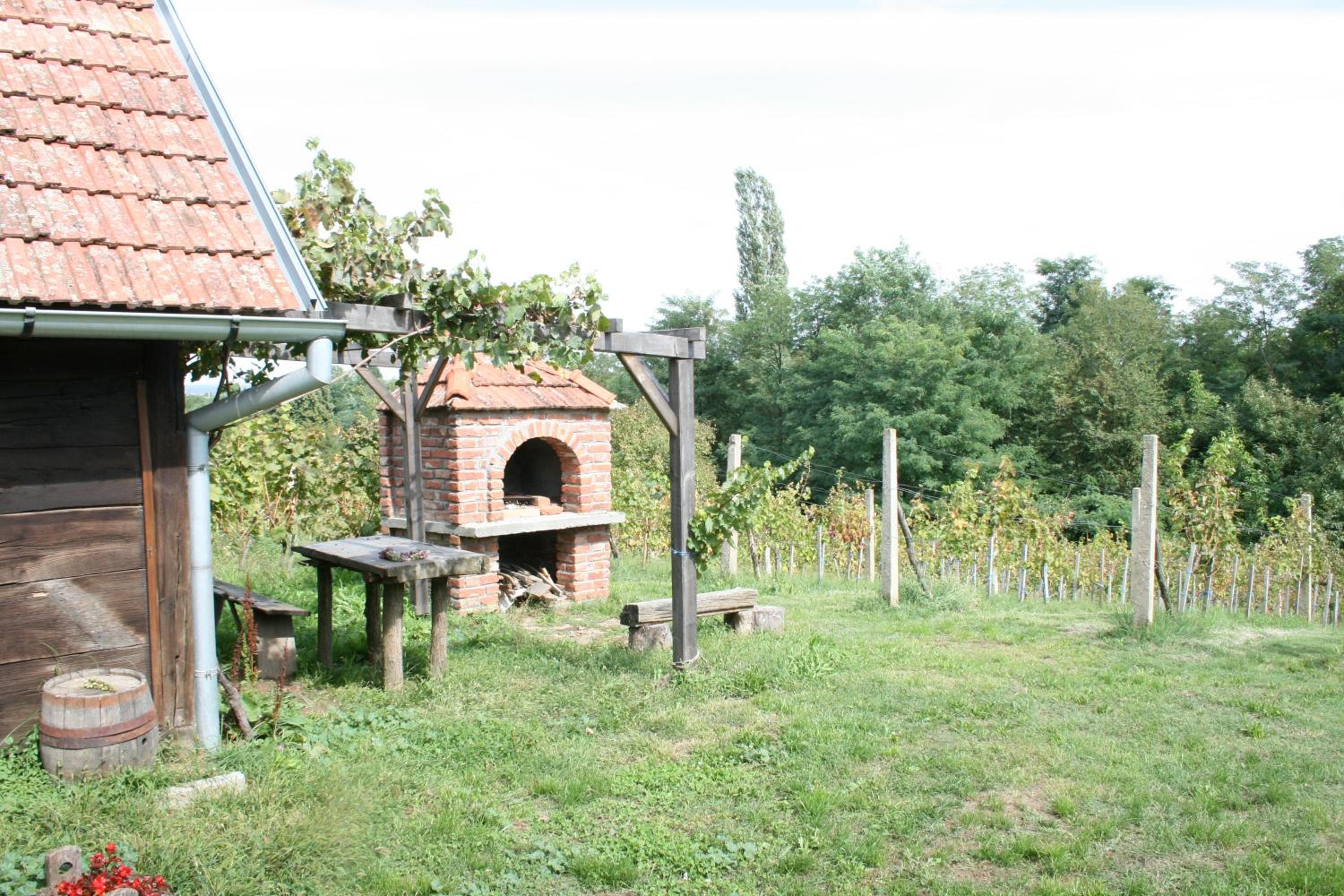 Two-Bedroom House - Photo 8