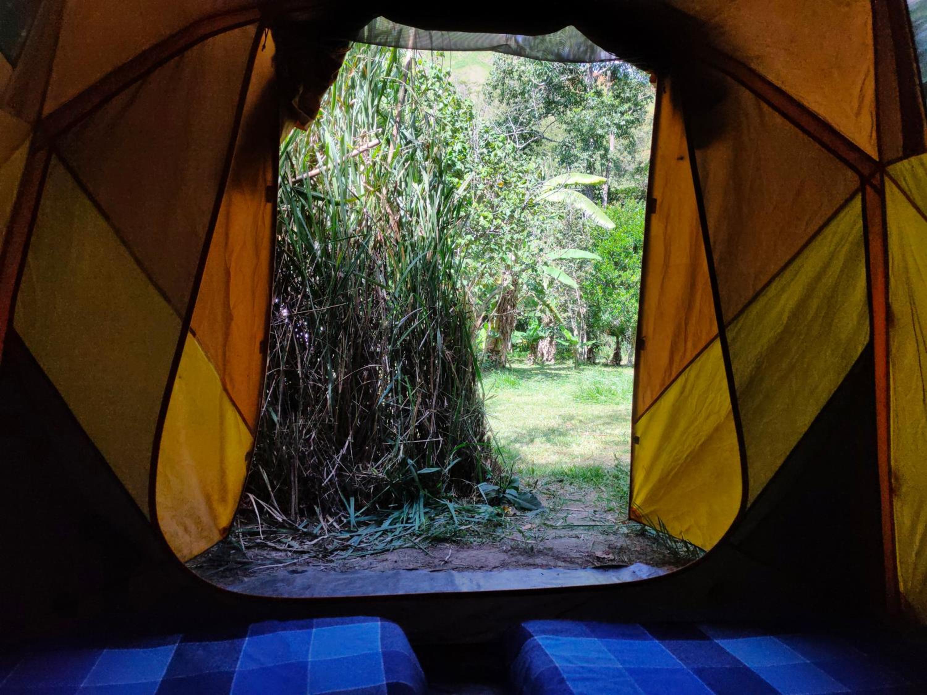 Tent photo 3