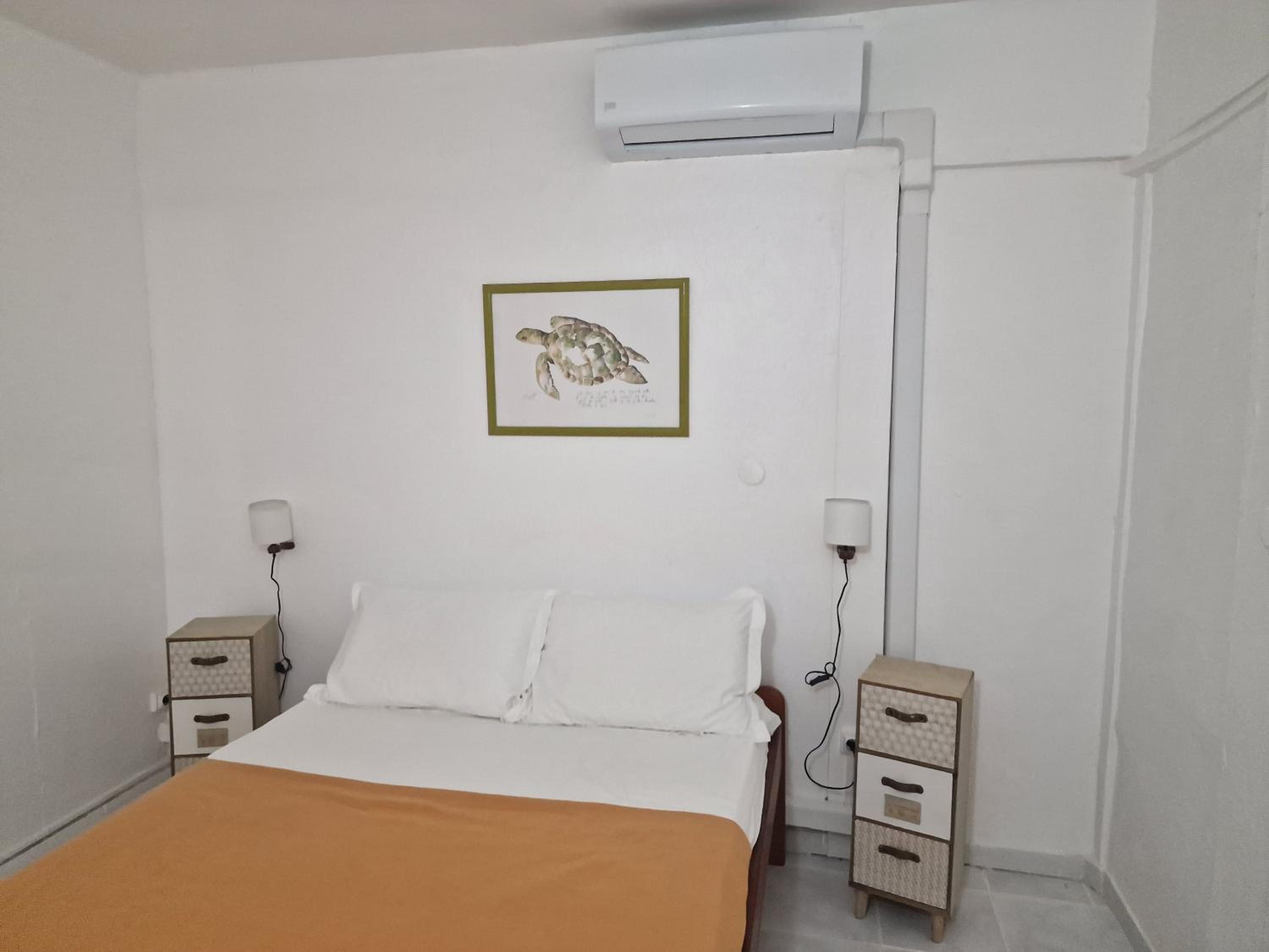 Apartment with Terrace photo 2