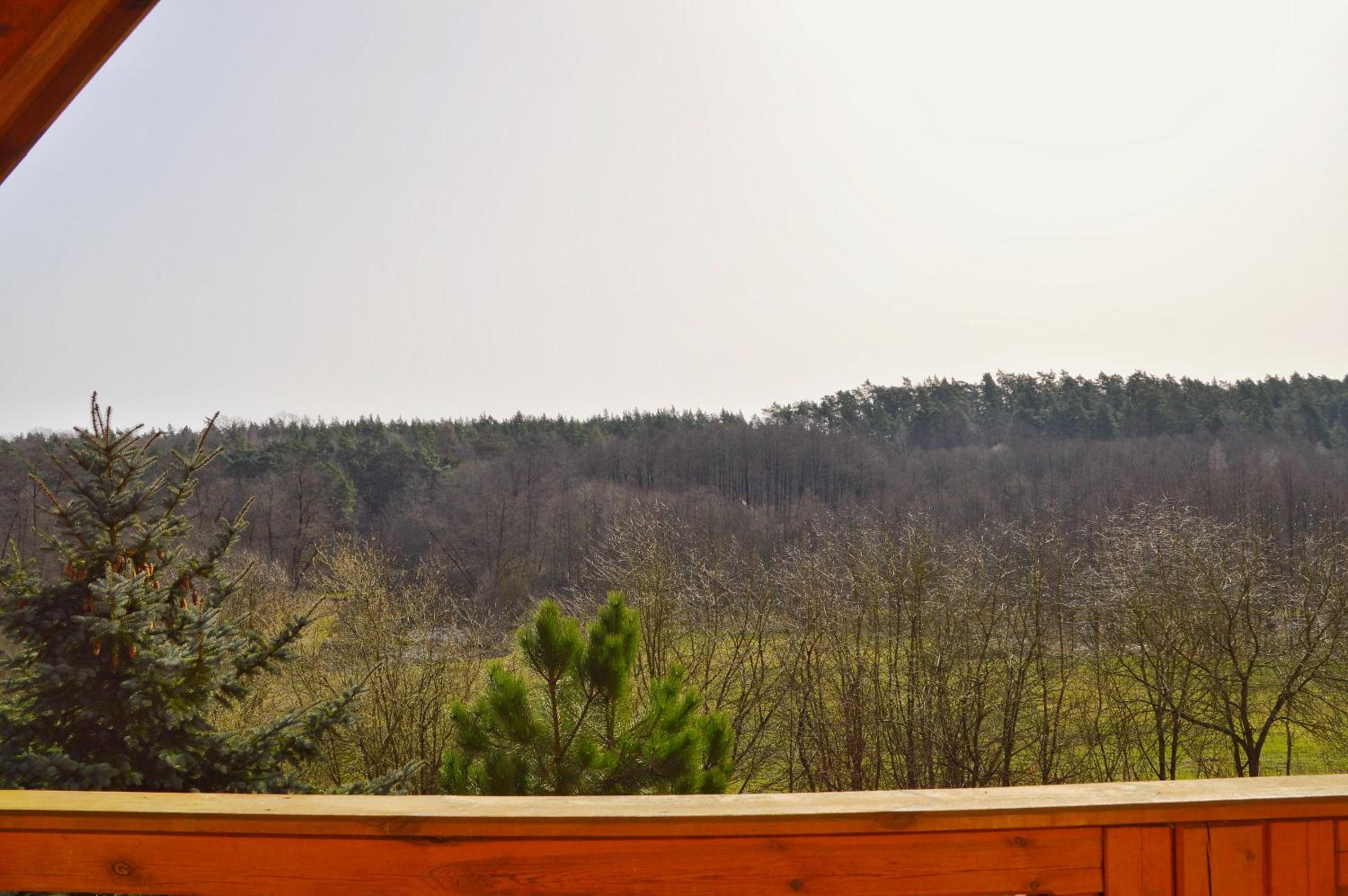 Double Room with Terrace photo 2