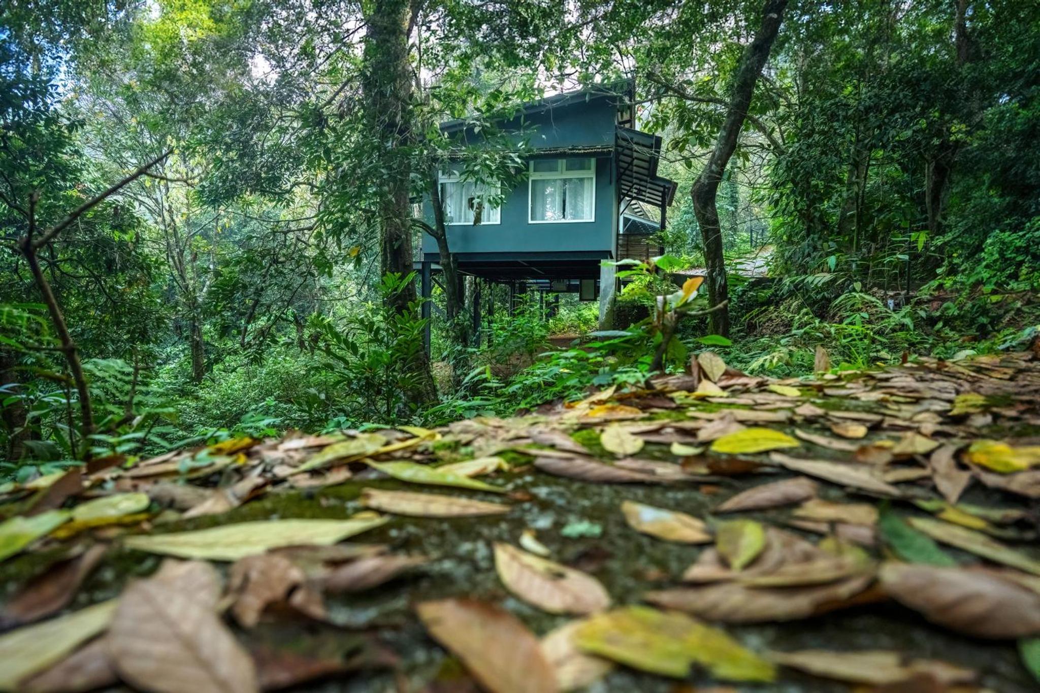 Deluxe Cottage with Balcony – Complimentary in-house trekking activities Deluxe Cottage with Balcony – Complimentary in-house trekking activities