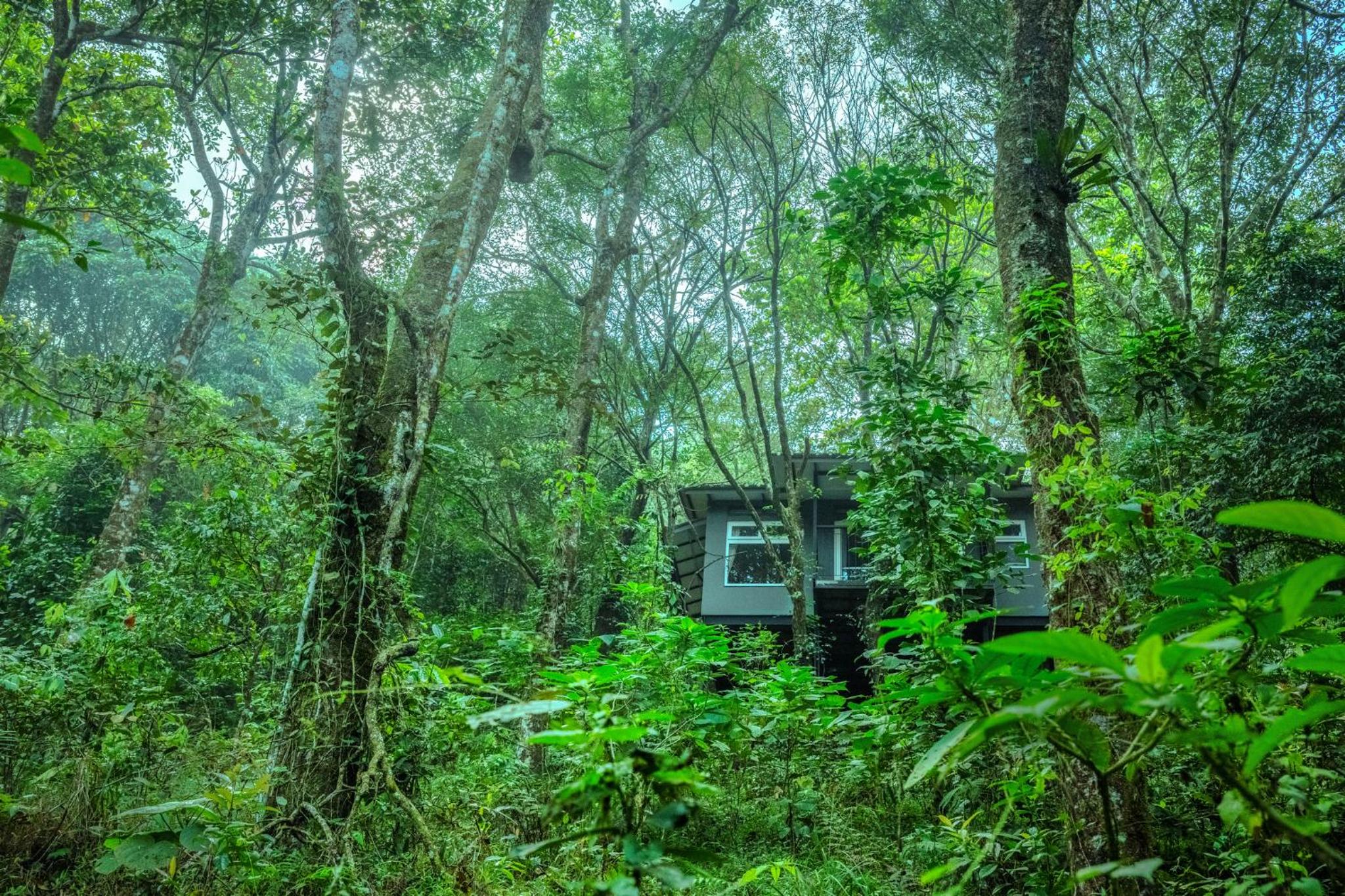 Deluxe Cottage with Balcony - Complimentary in-house trekking activities
