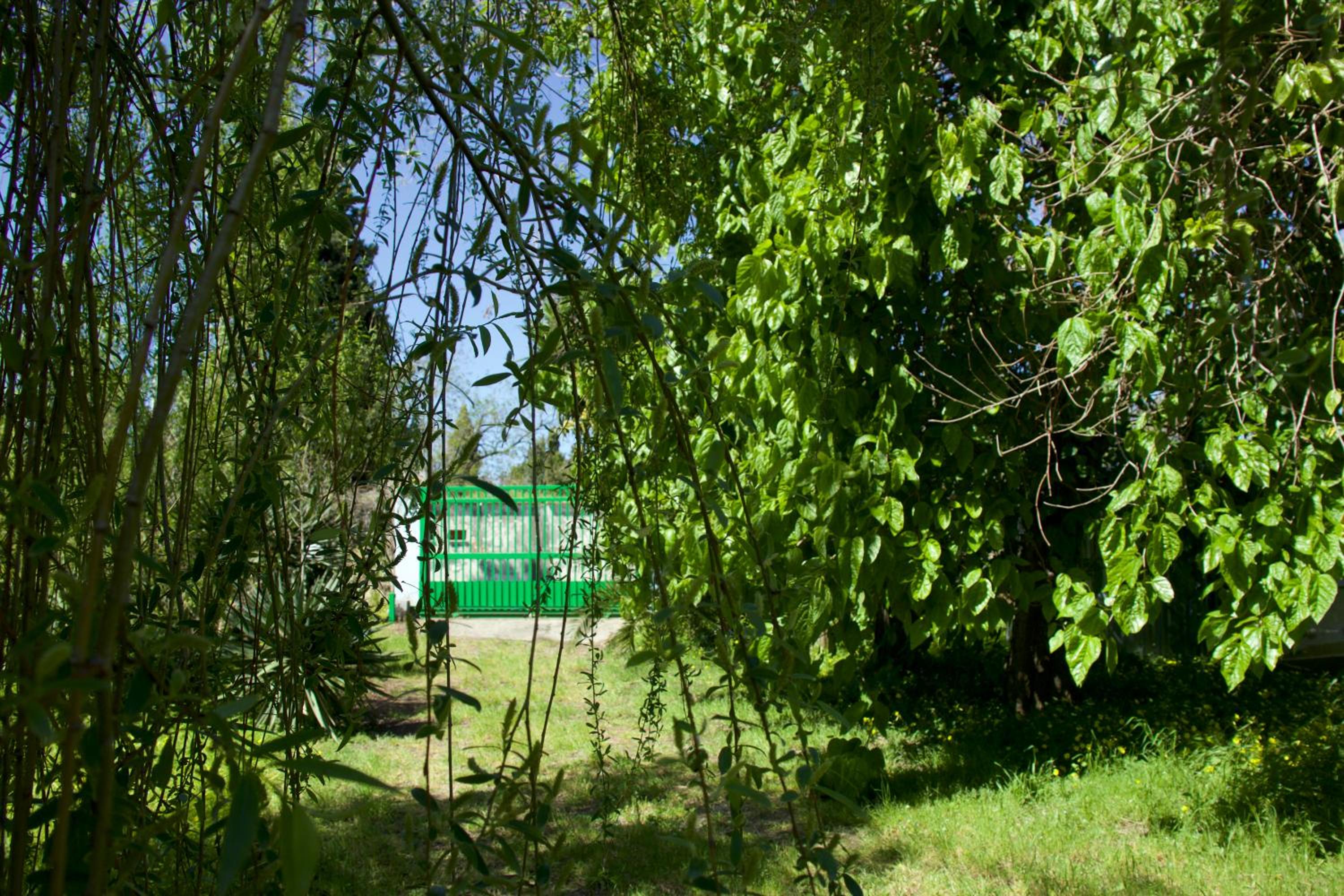 Family Studio photo 1