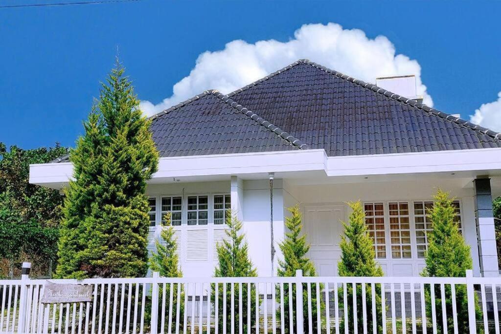 Three-Bedroom House photo 3