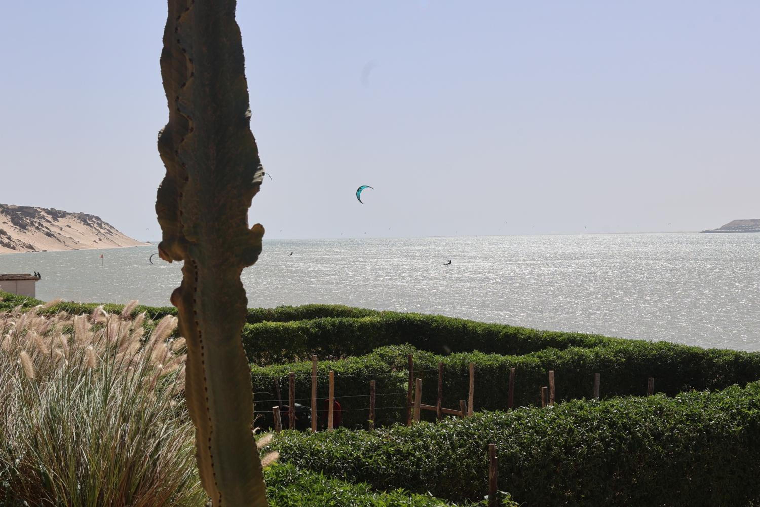 Pacha Lodge photo 3