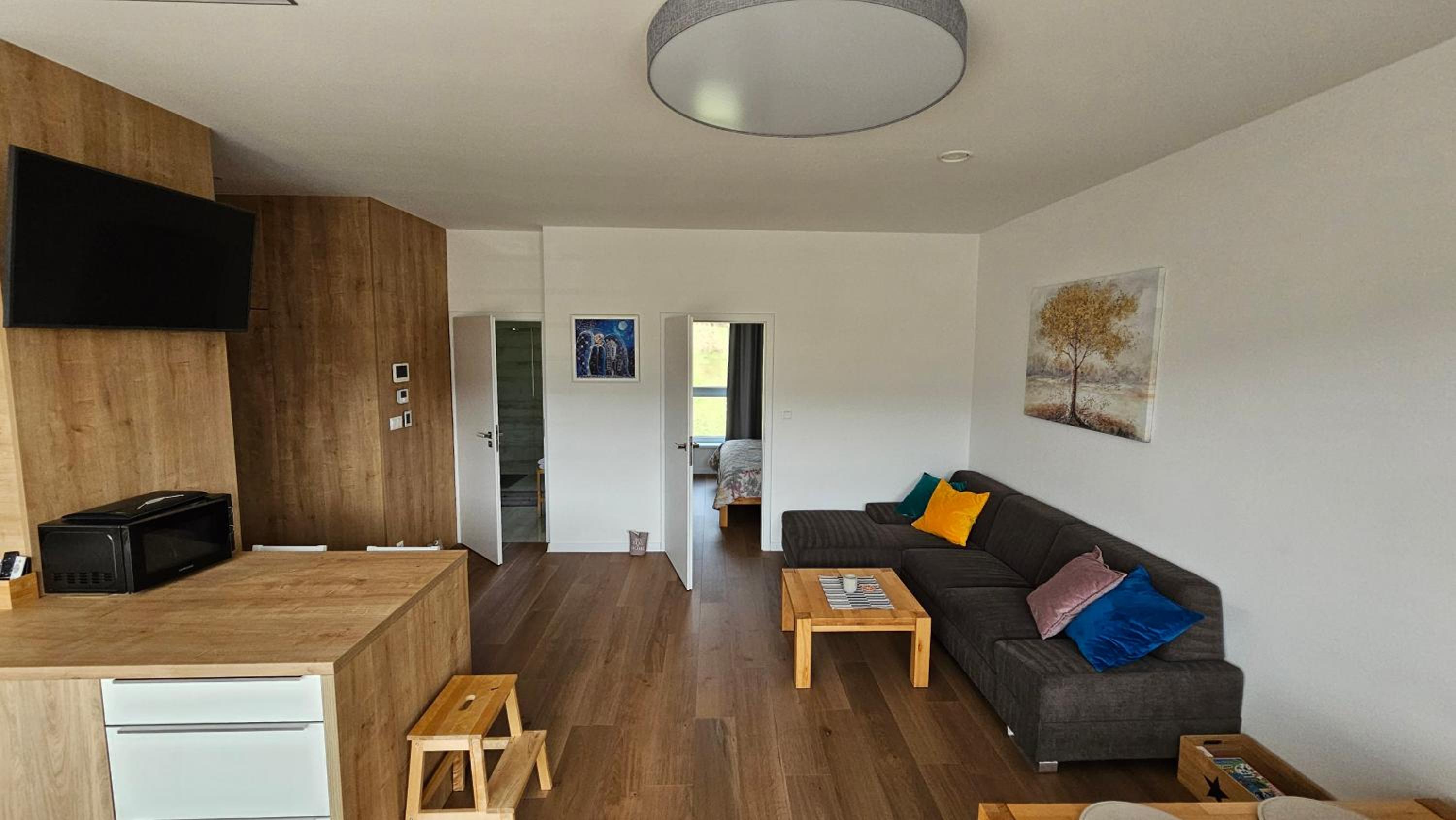 Penthouse Apartment photo 2