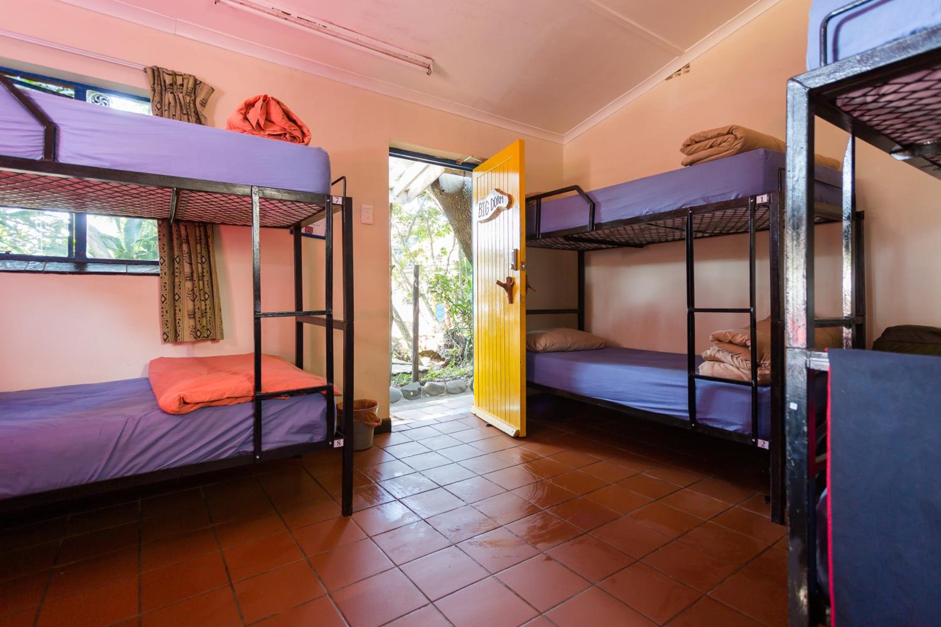 Bed in 8-Bed Mixed Dormitory Room photo 1