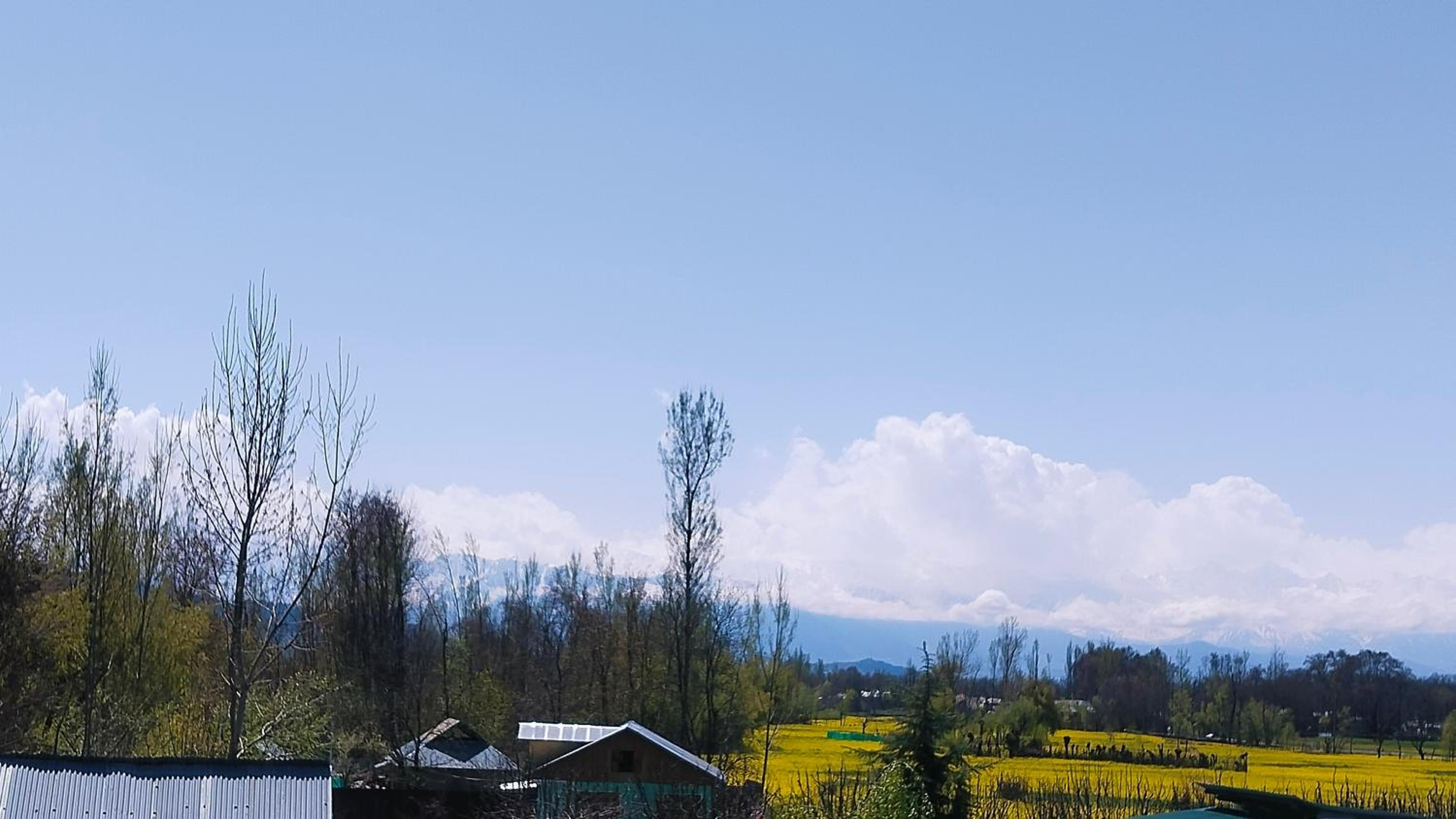 Double Room with Garden View photo 1