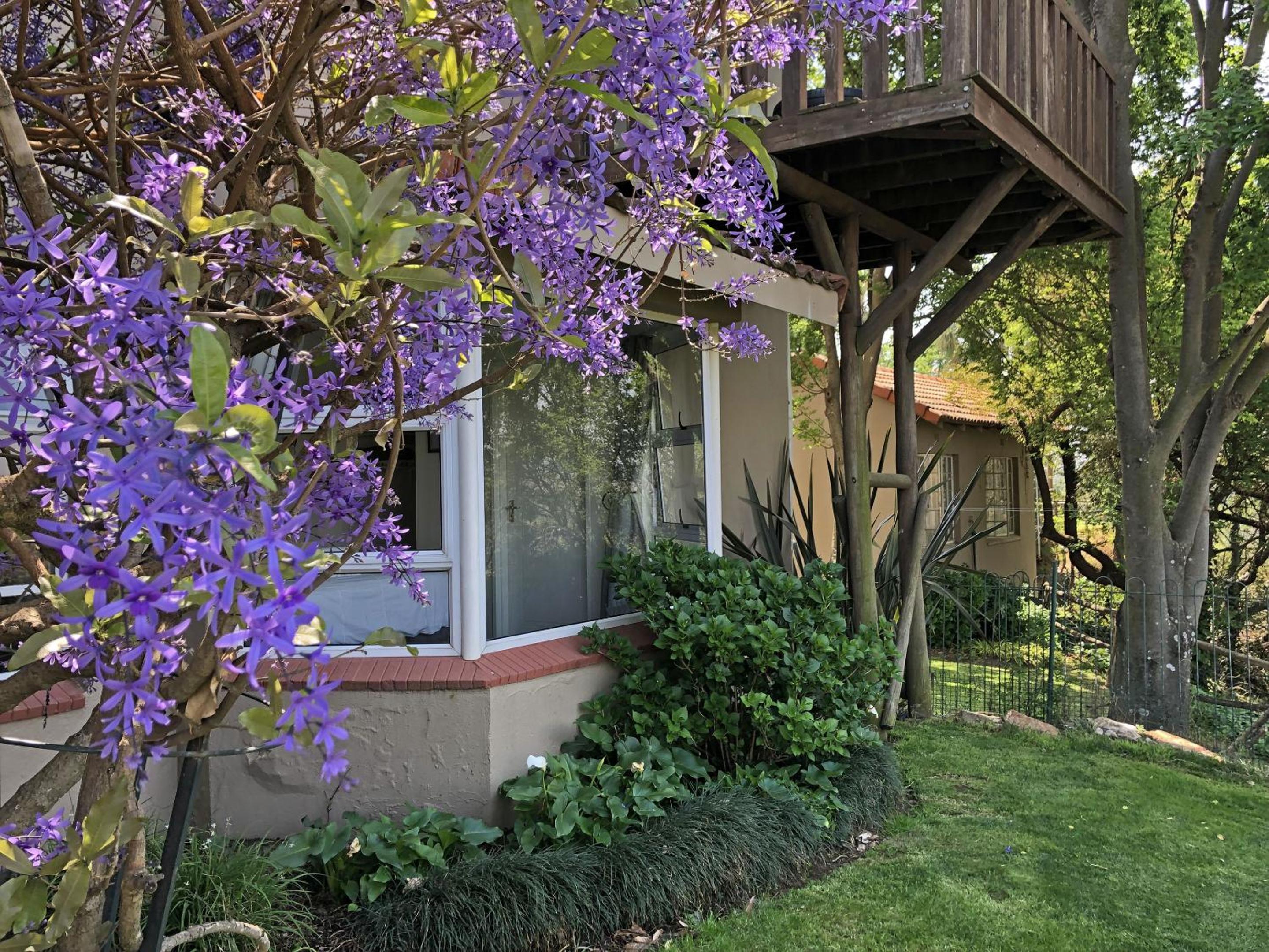 Apartment - Photo 4