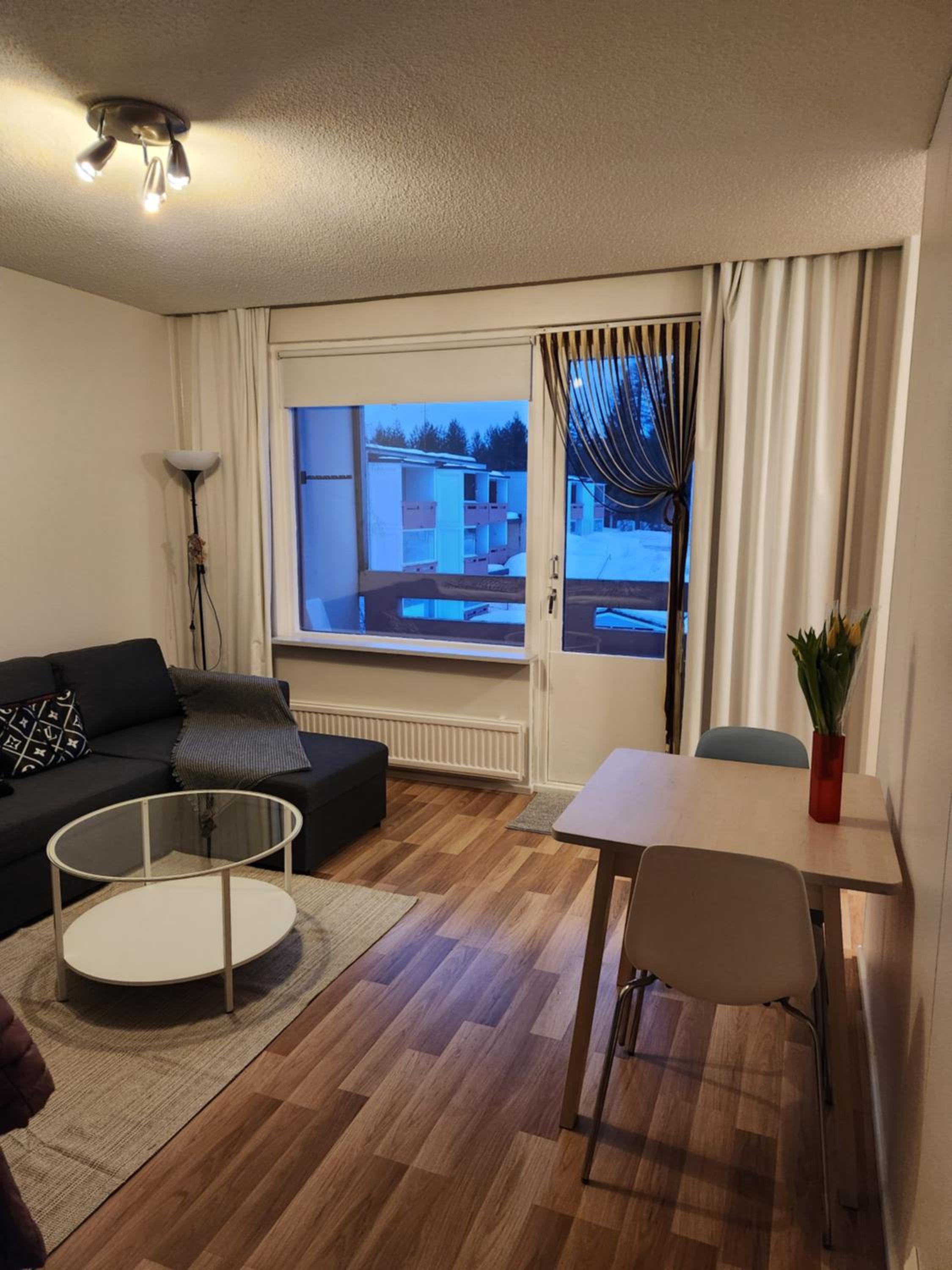 One-Bedroom Apartment photo 2
