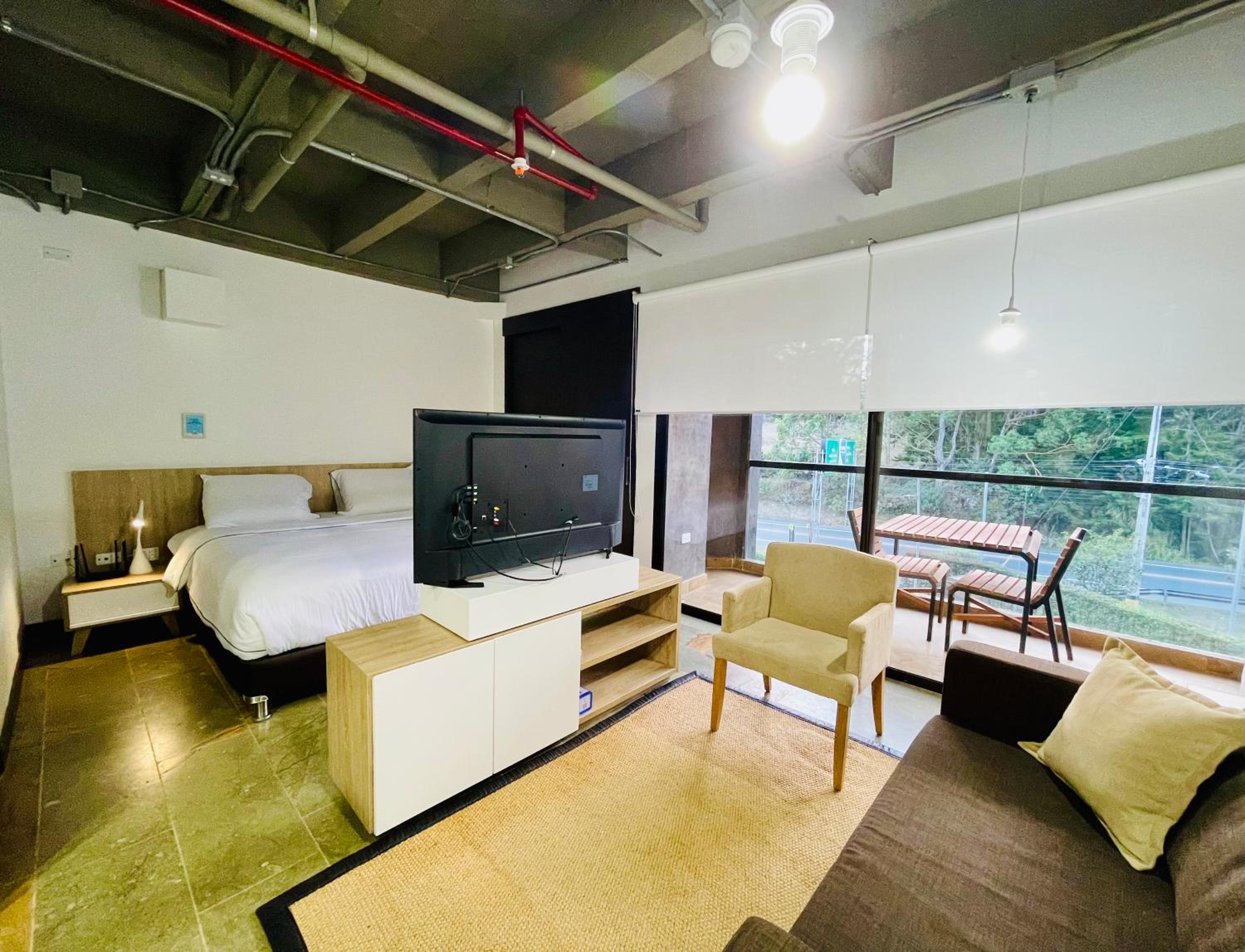 One-Bedroom Apartment