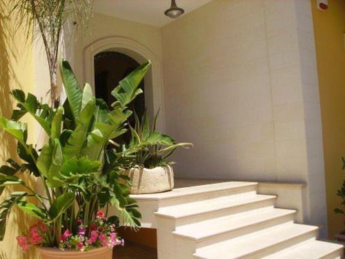 Apartment With Balcony photo 3