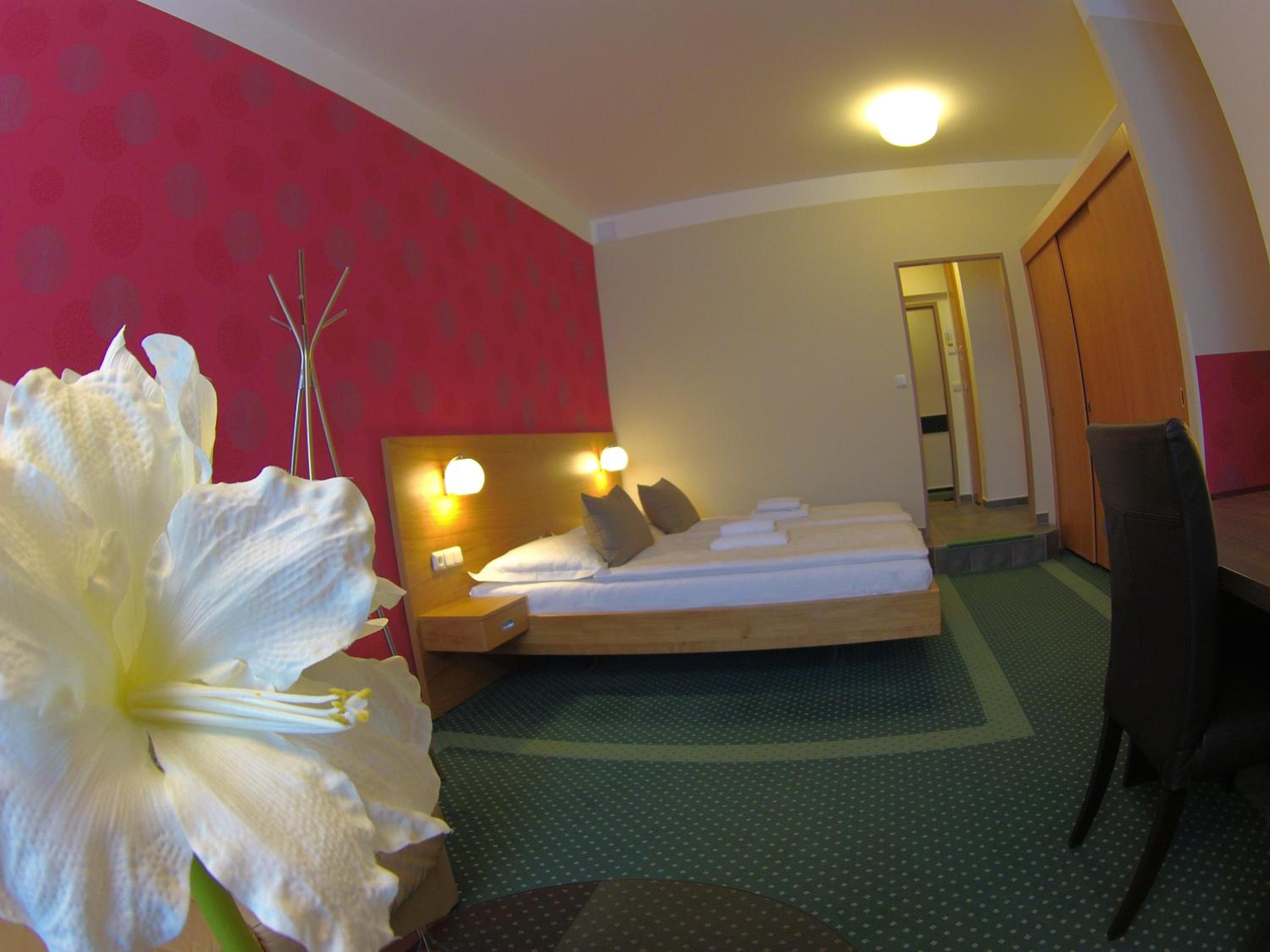 Suite - Photo 1