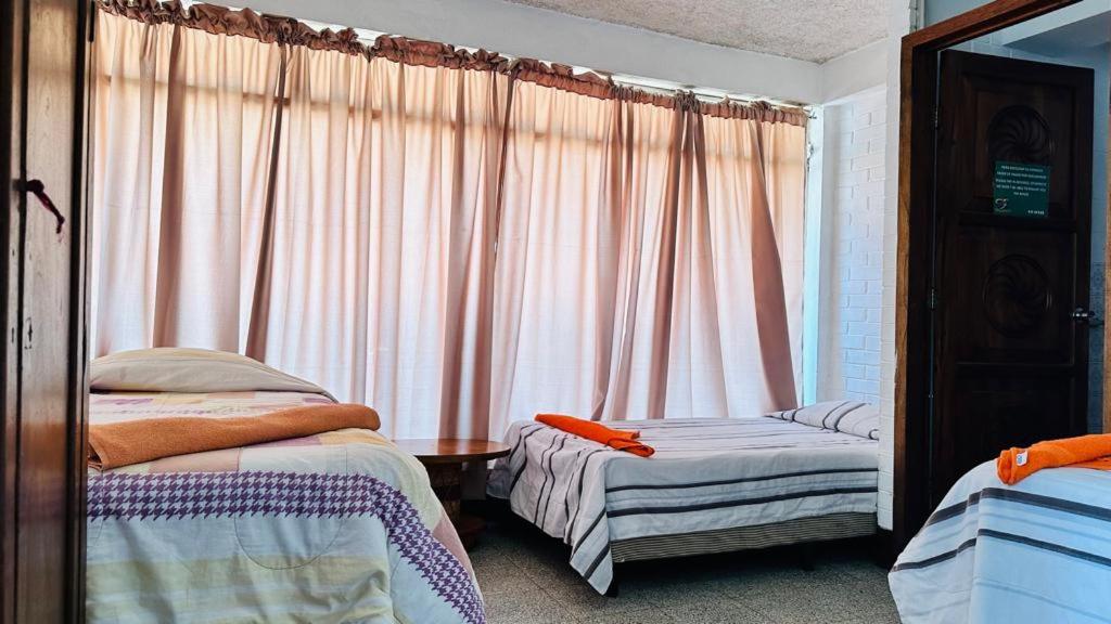 Mixed Dormitory Room photo 1