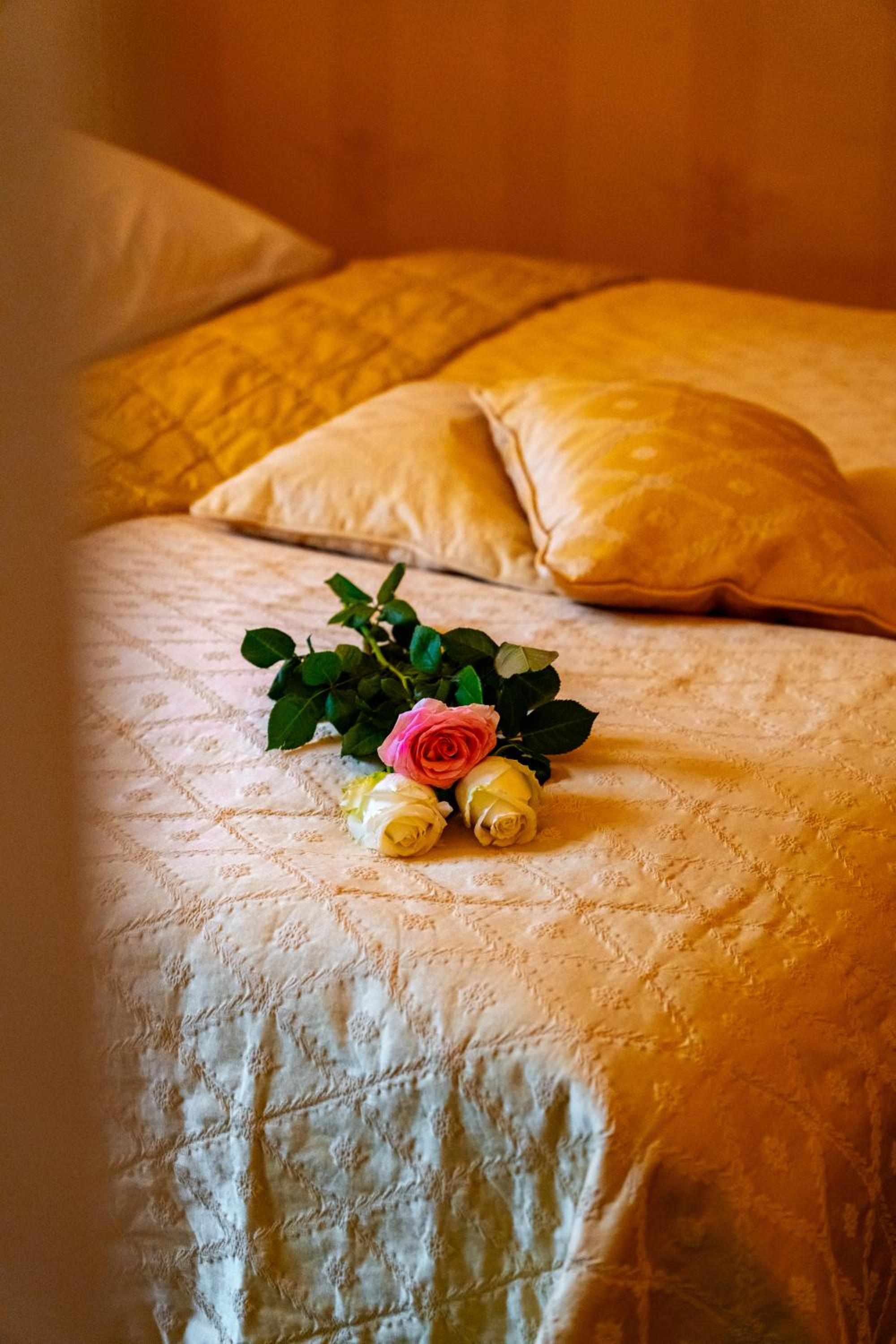 Deluxe Suite - Photo 6