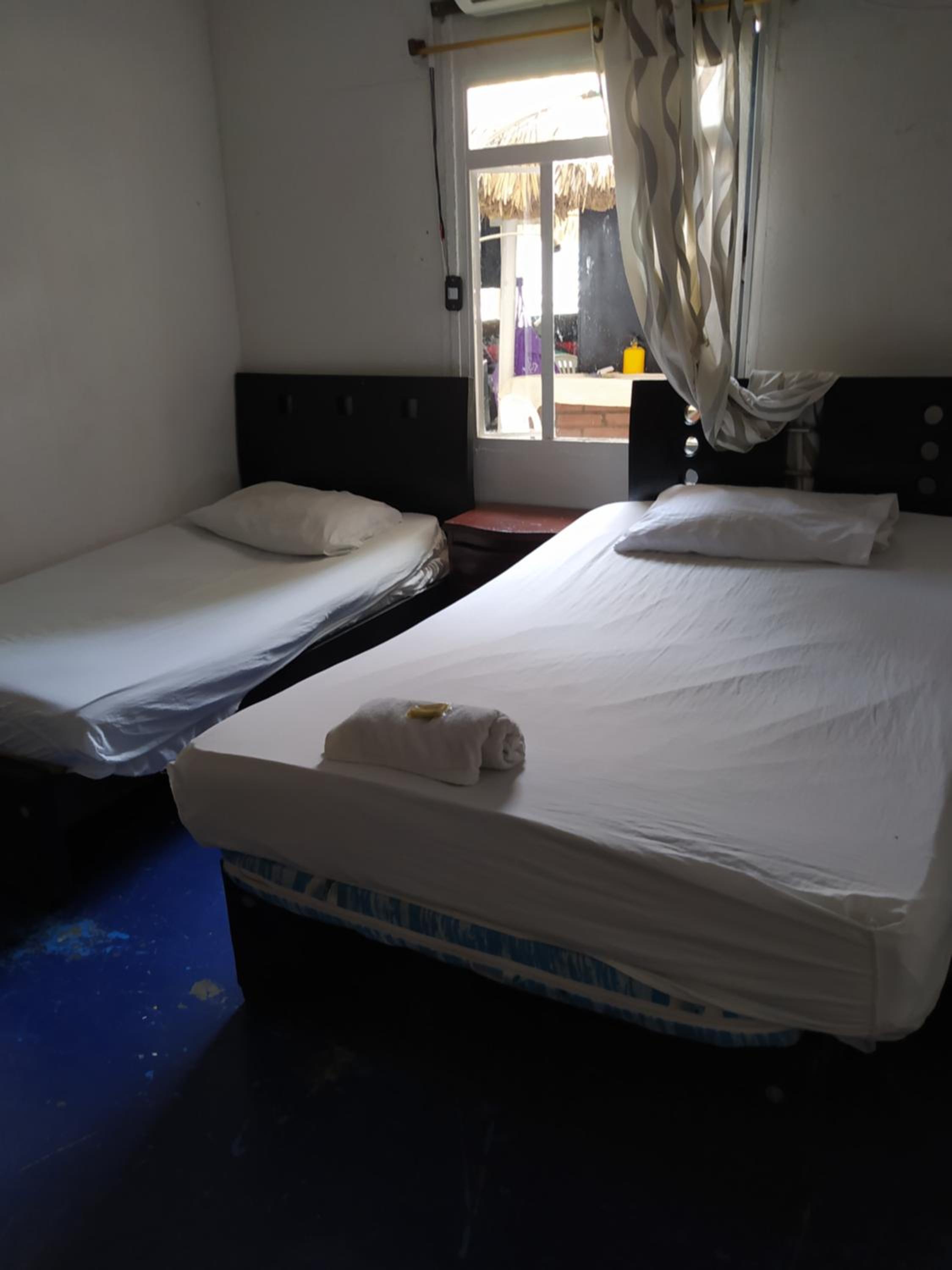 Twin Room photo 2