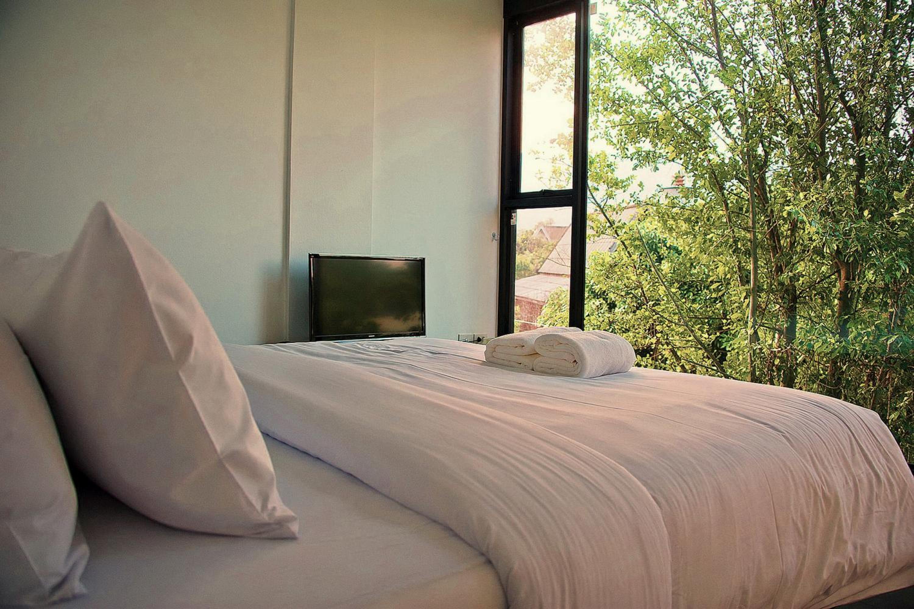 Standard Double Room - Photo 1