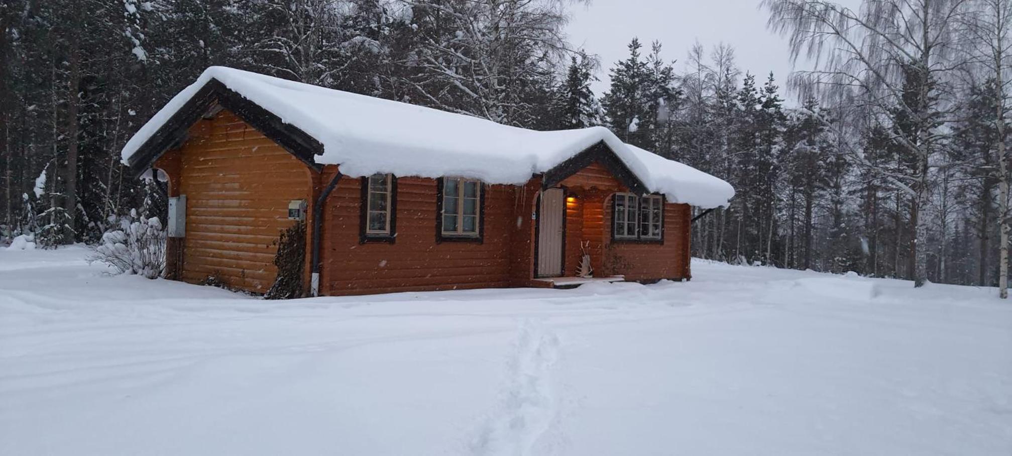 Vacation Home photo 2