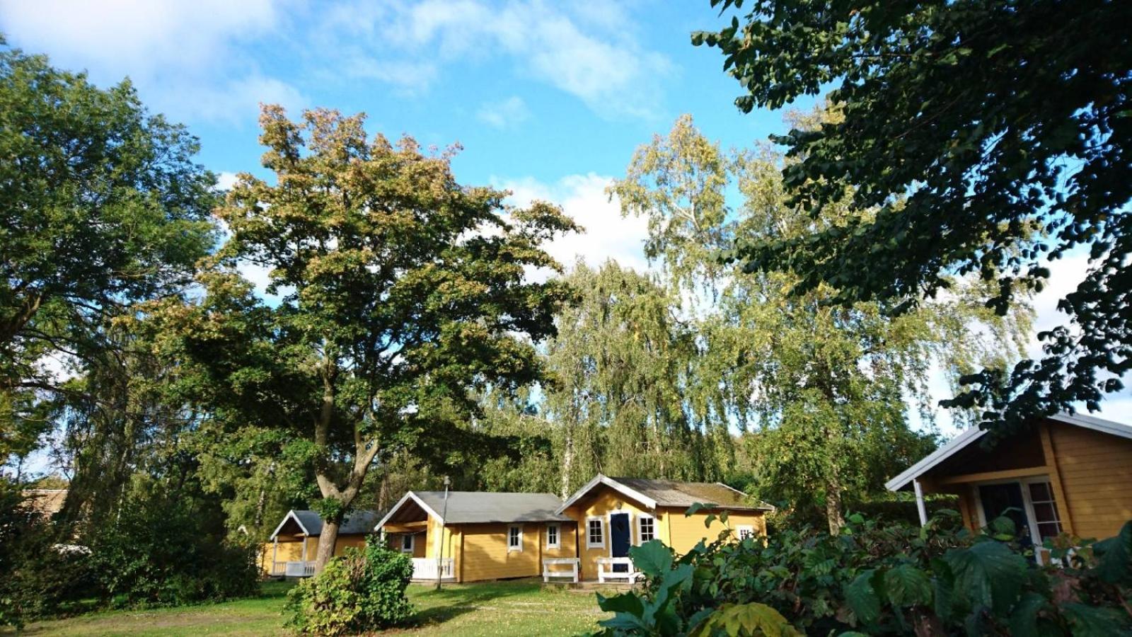 Deluxe Bungalow - Photo 8