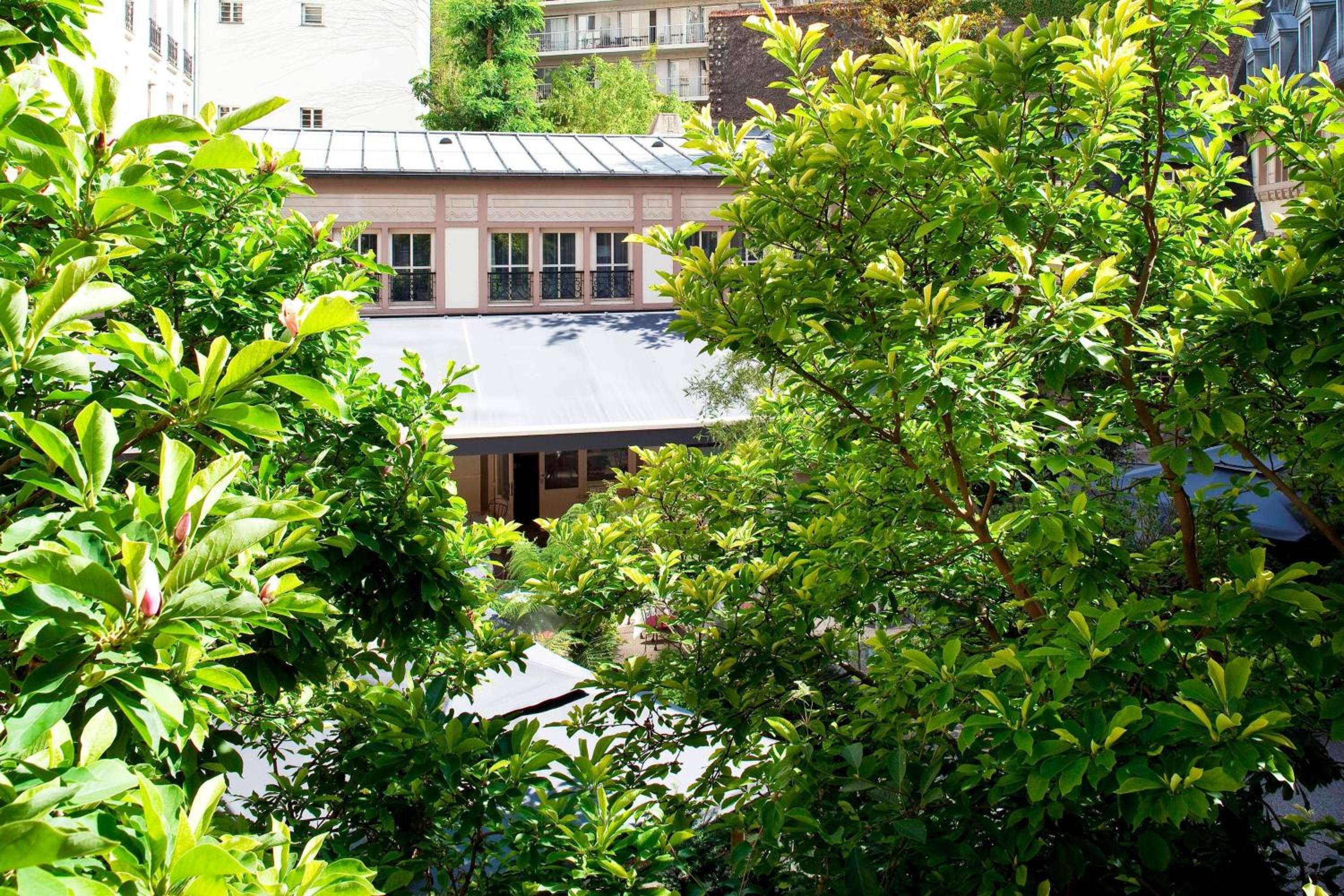 Deluxe King Room with Garden View photo 3