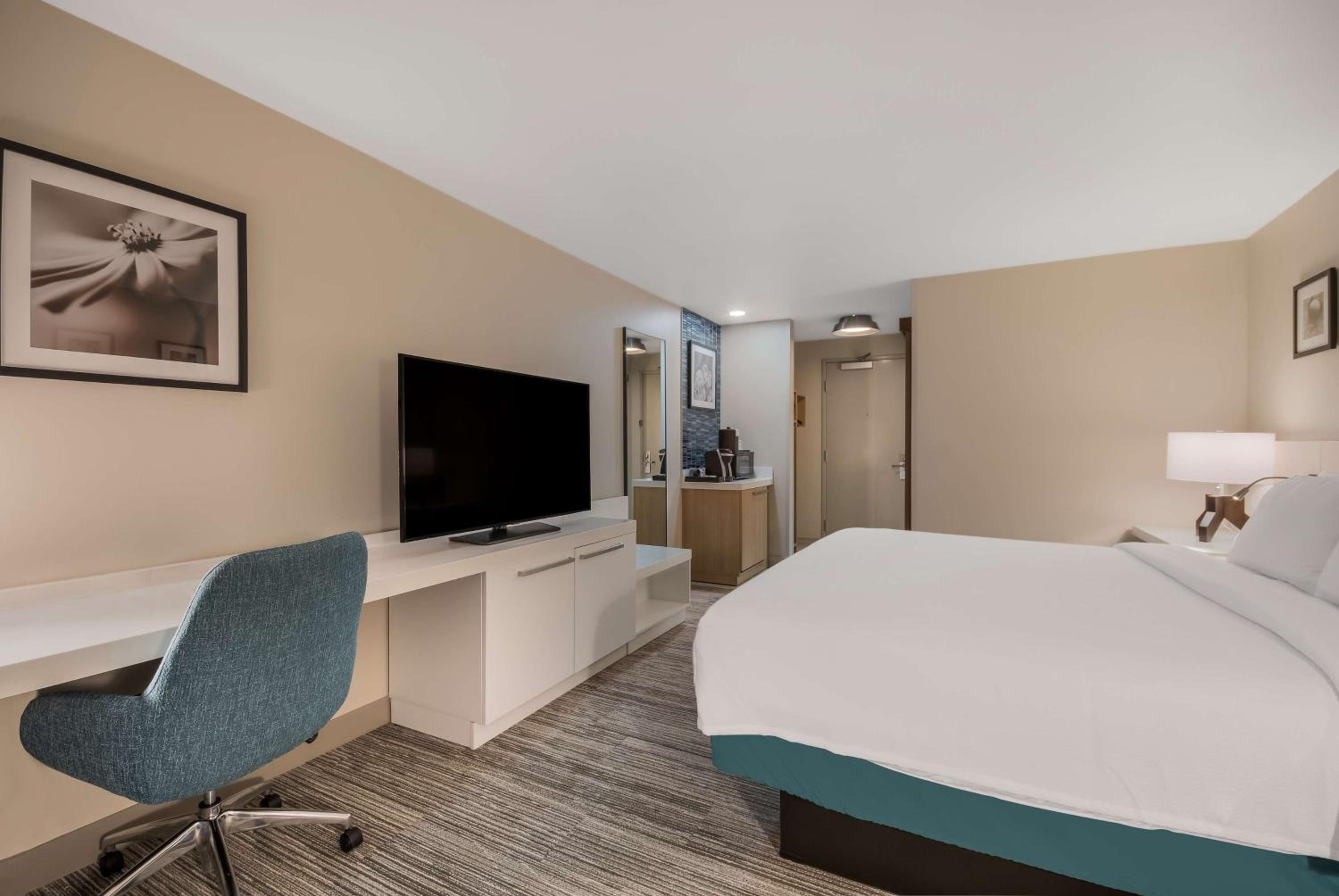 King Room - Photo 4