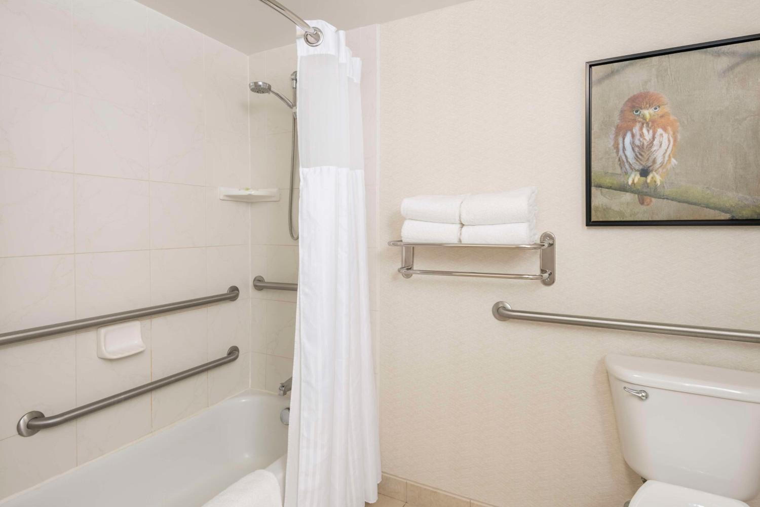 King Room with Accessible Tub - Mobility Access - Photo 4