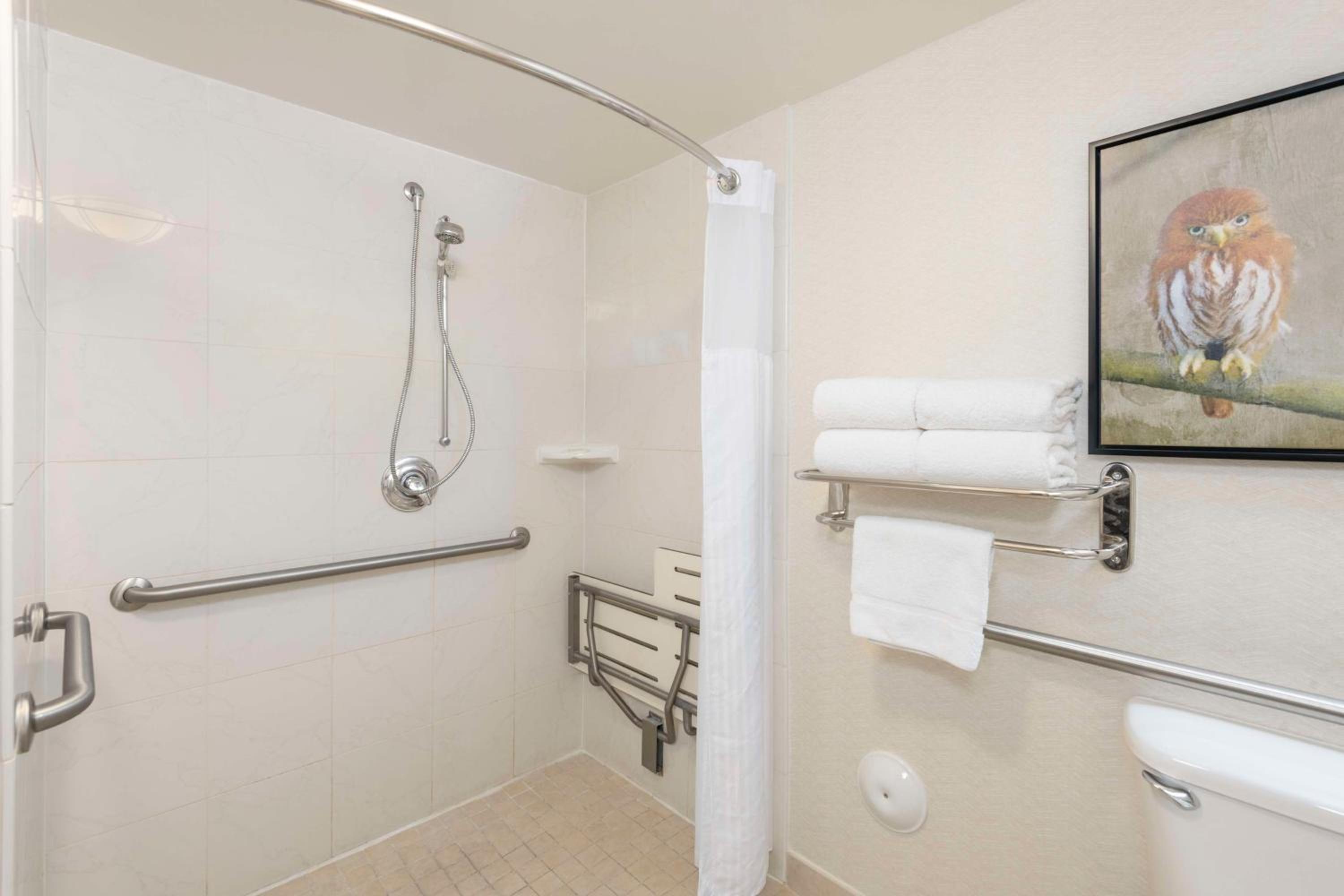 King Room with Roll-In Shower - Mobility Access - Photo 2