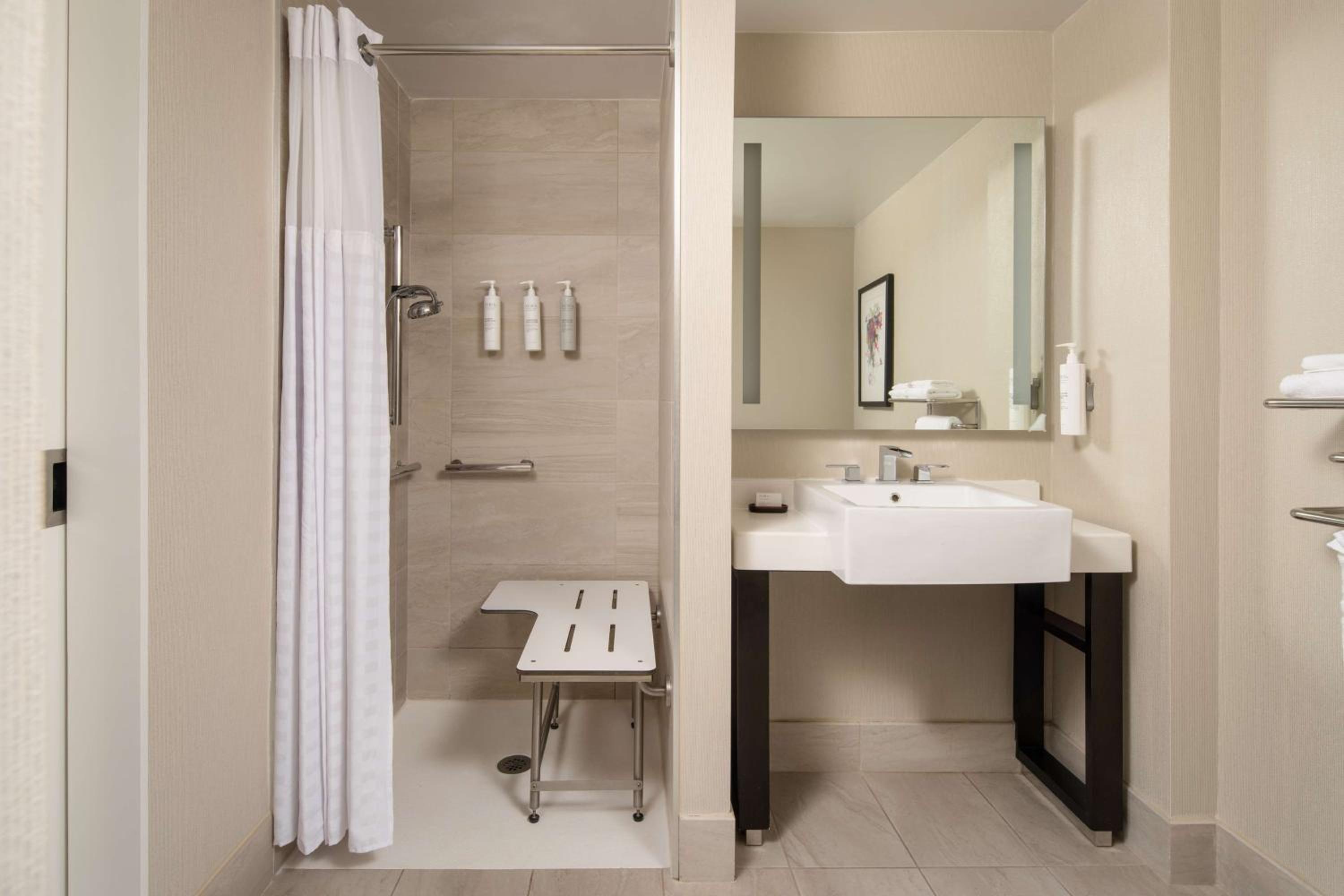 1 King City View Room Mobility Access with 3X3 Shower