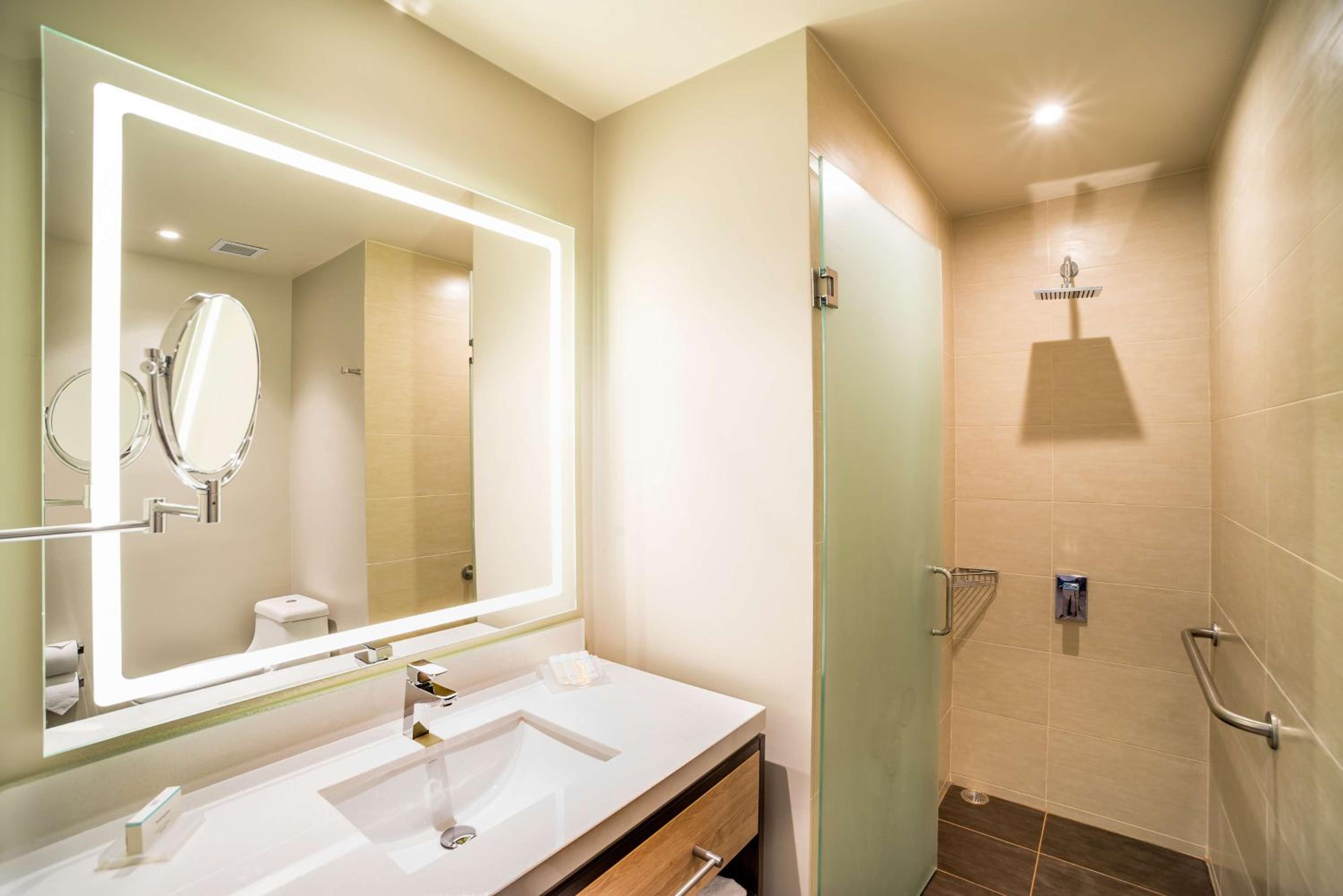 One-Bedroom King Suite photo 2