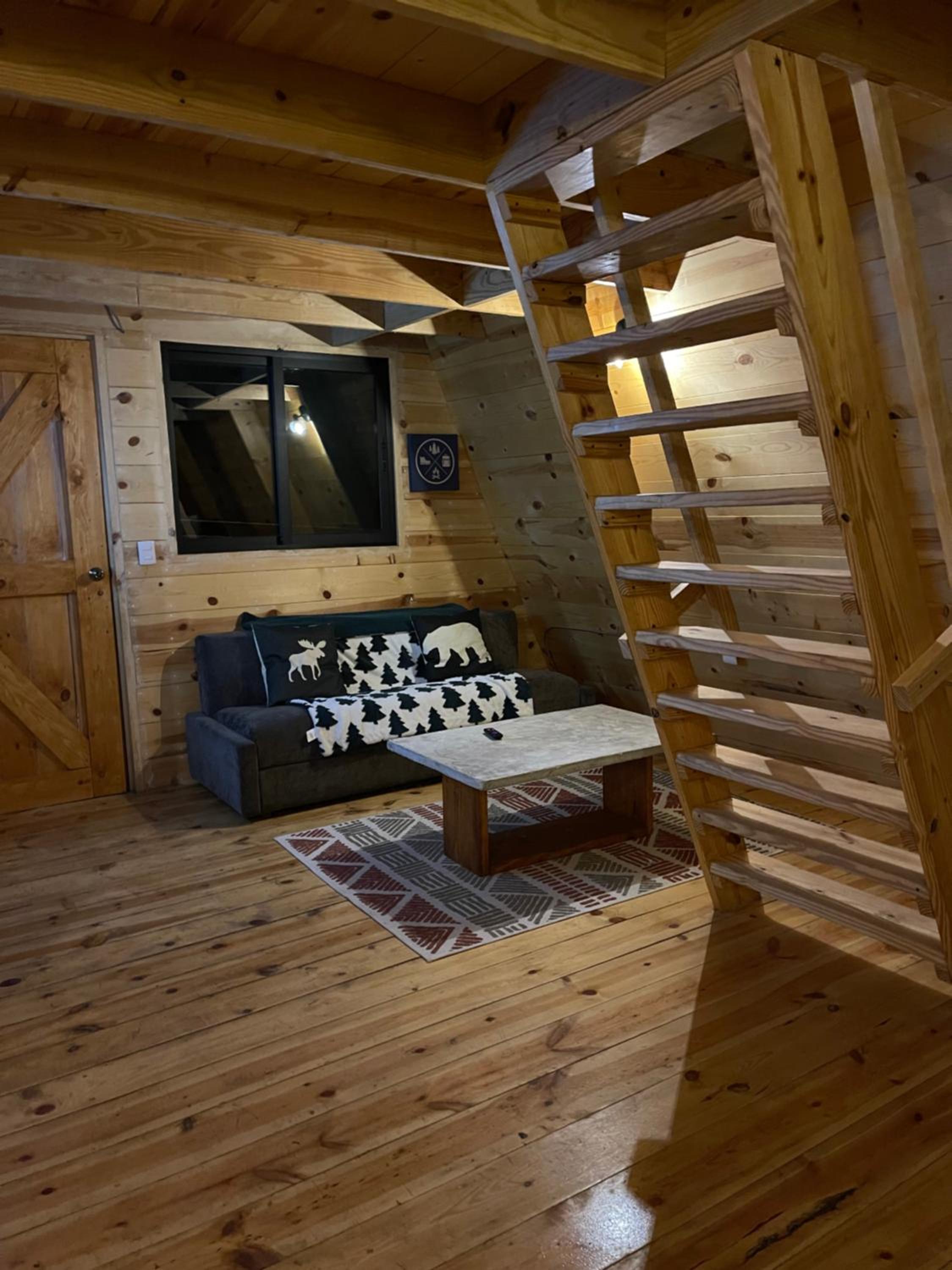 Twin Room photo 1