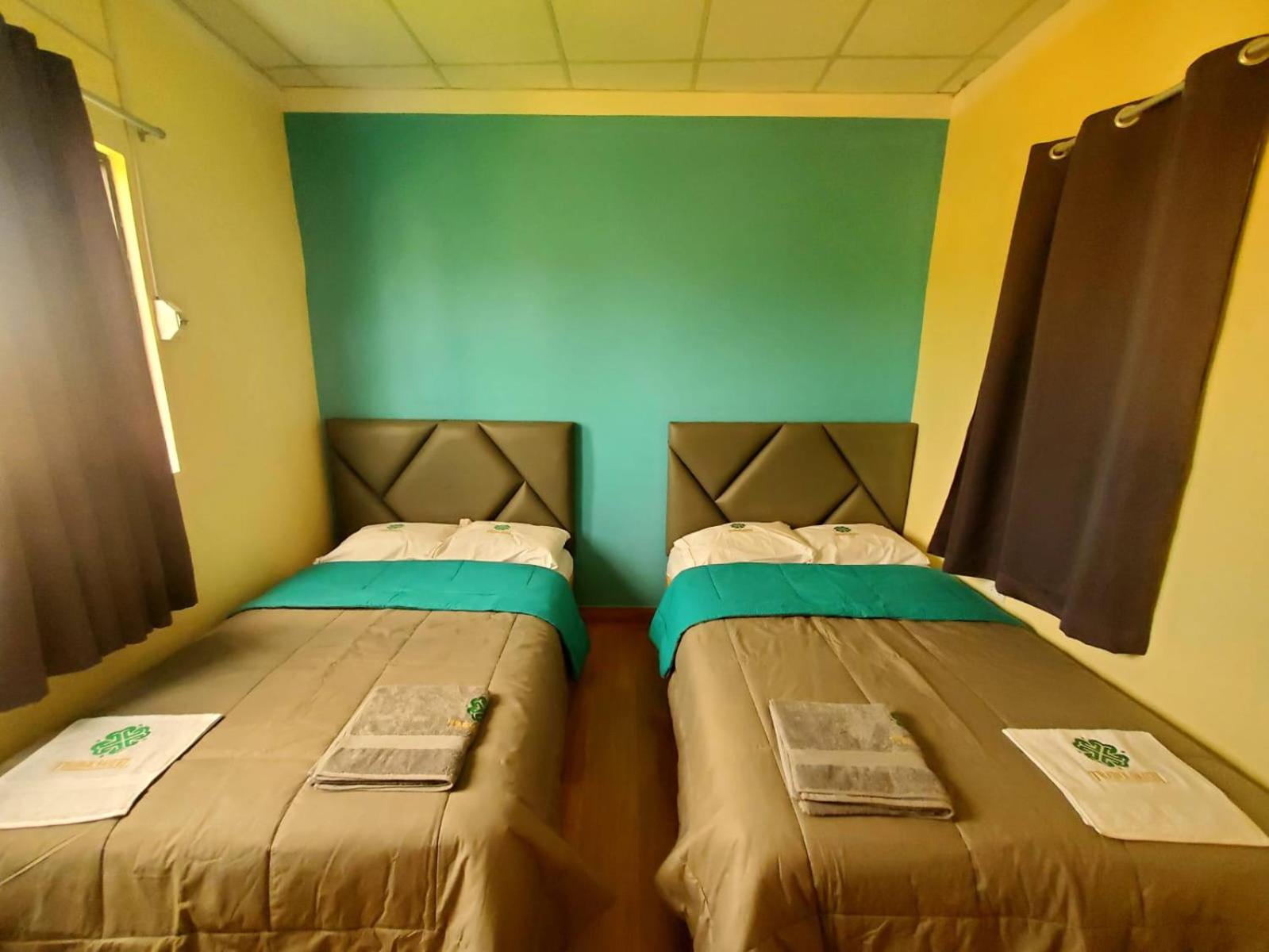 Twin Room photo 3