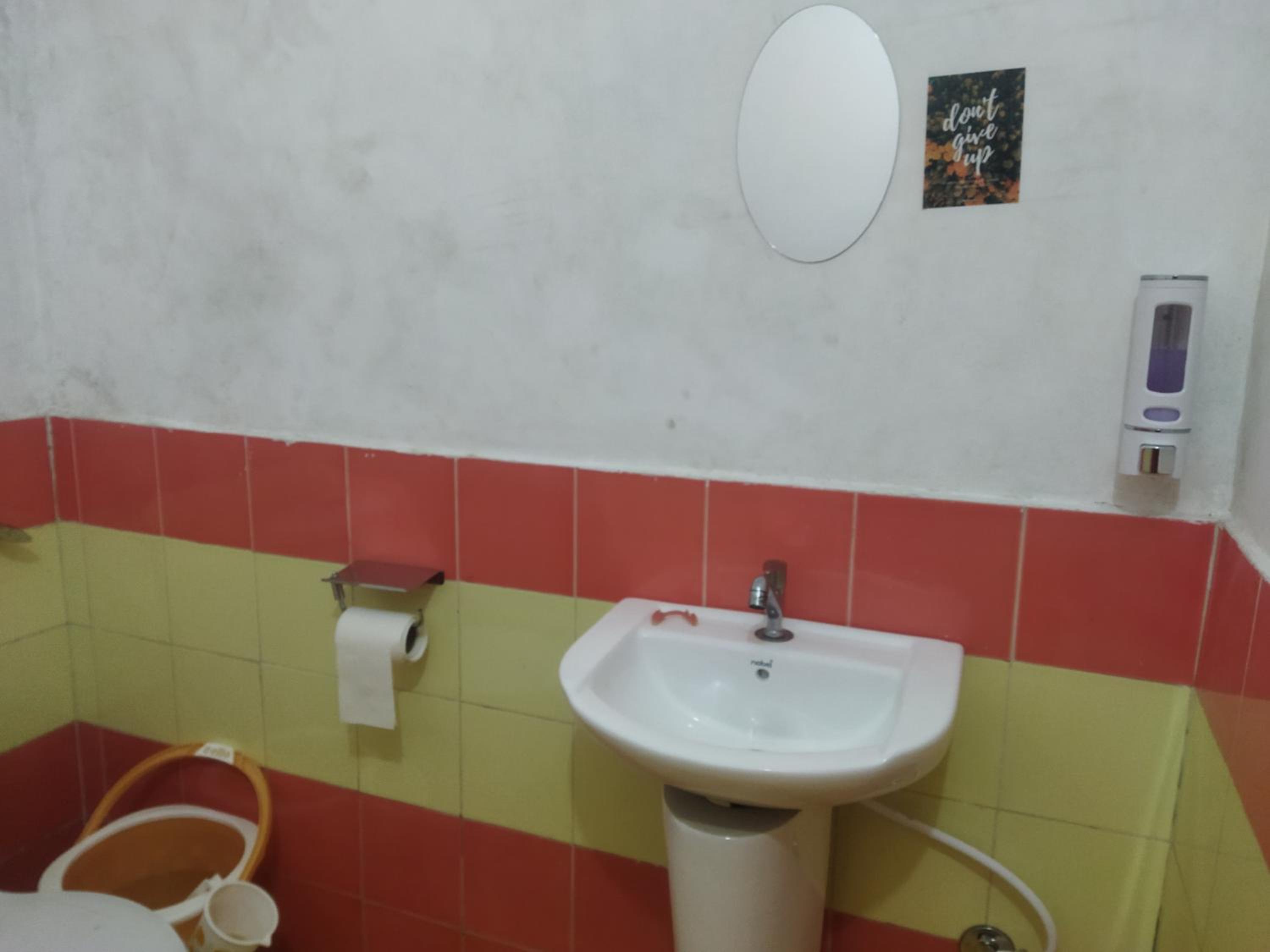 经济双人间