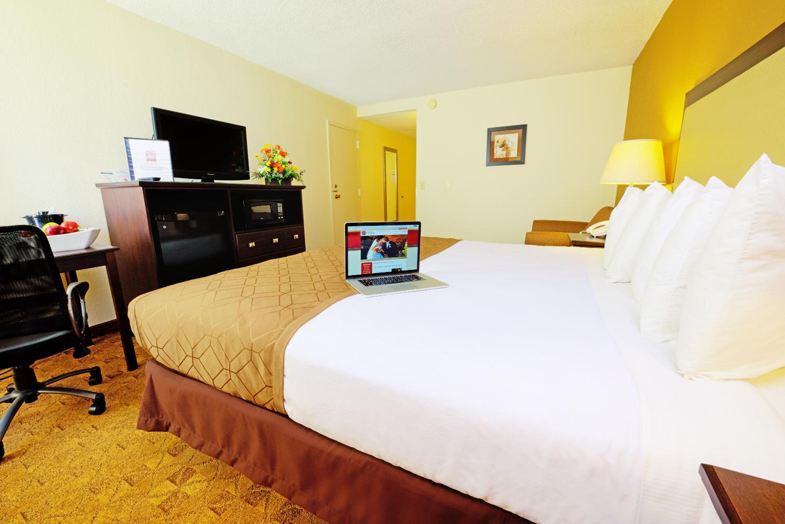 King Room - Non-Smoking - Photo 1