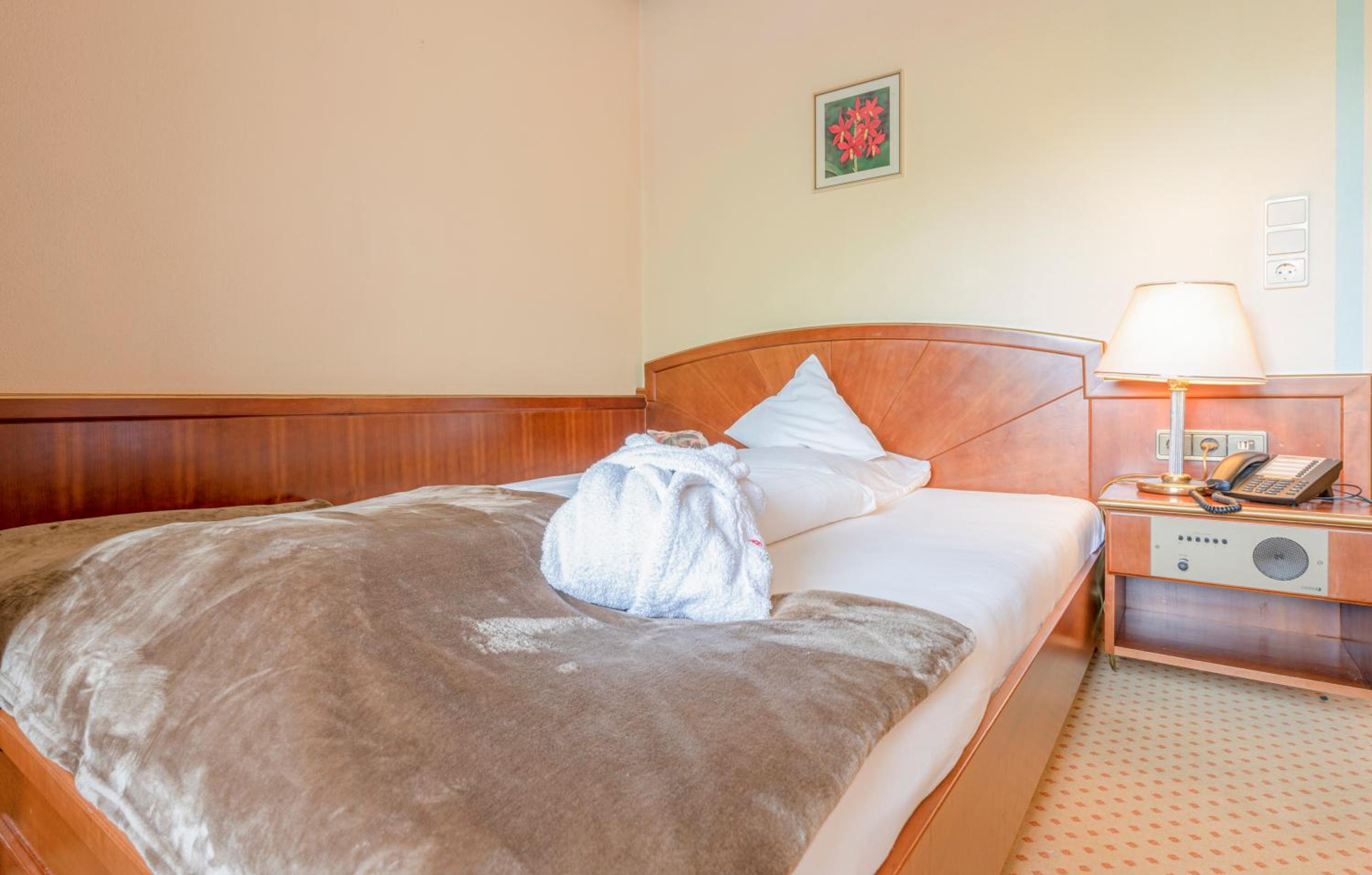 Large Single Room photo 3